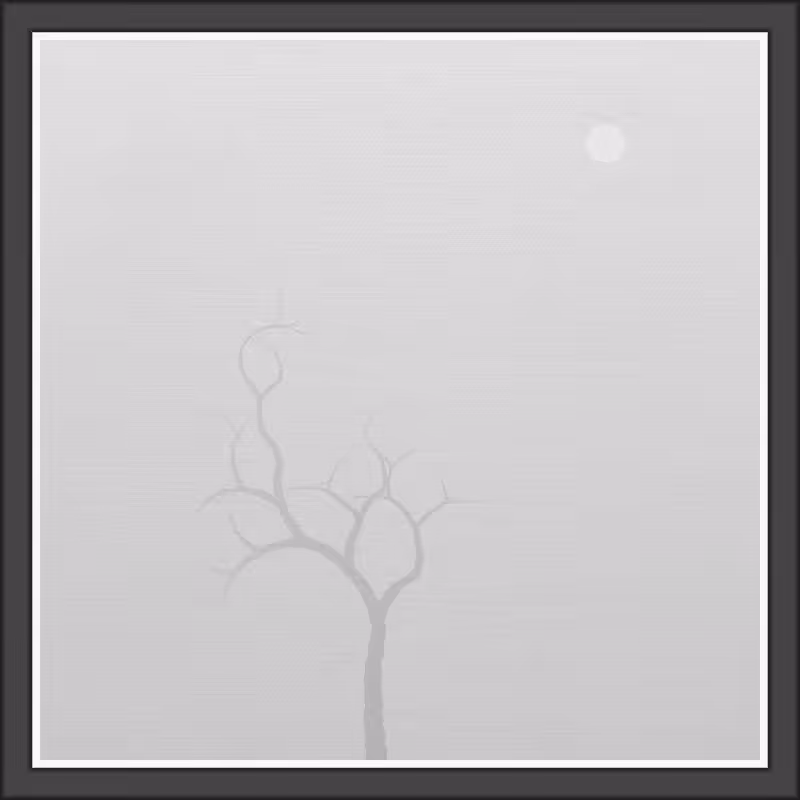 The Foggy Trees #59