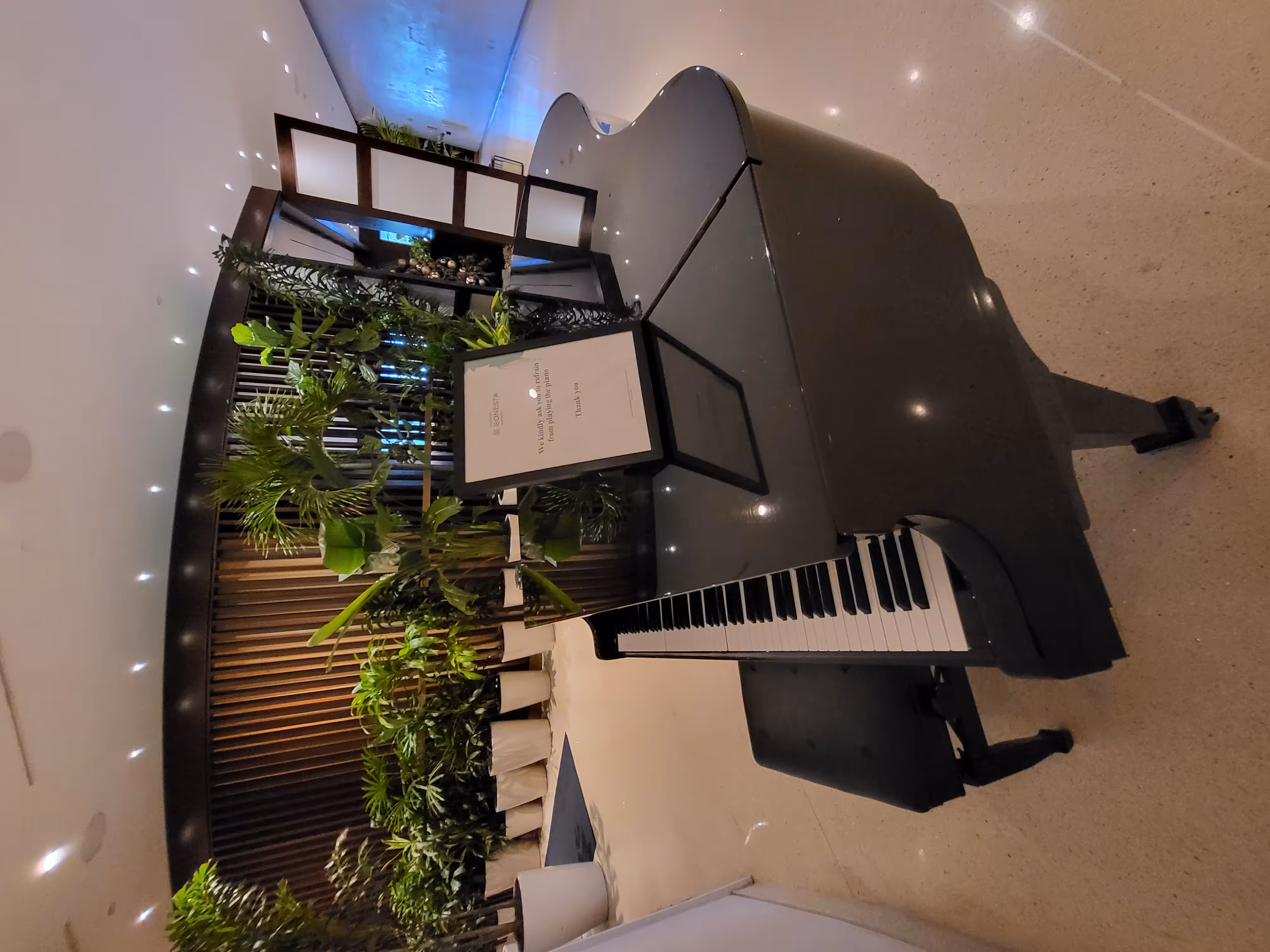 ryangtanaka's #Tezpole 2023 Adventures | # - The Nautilus Grand Piano