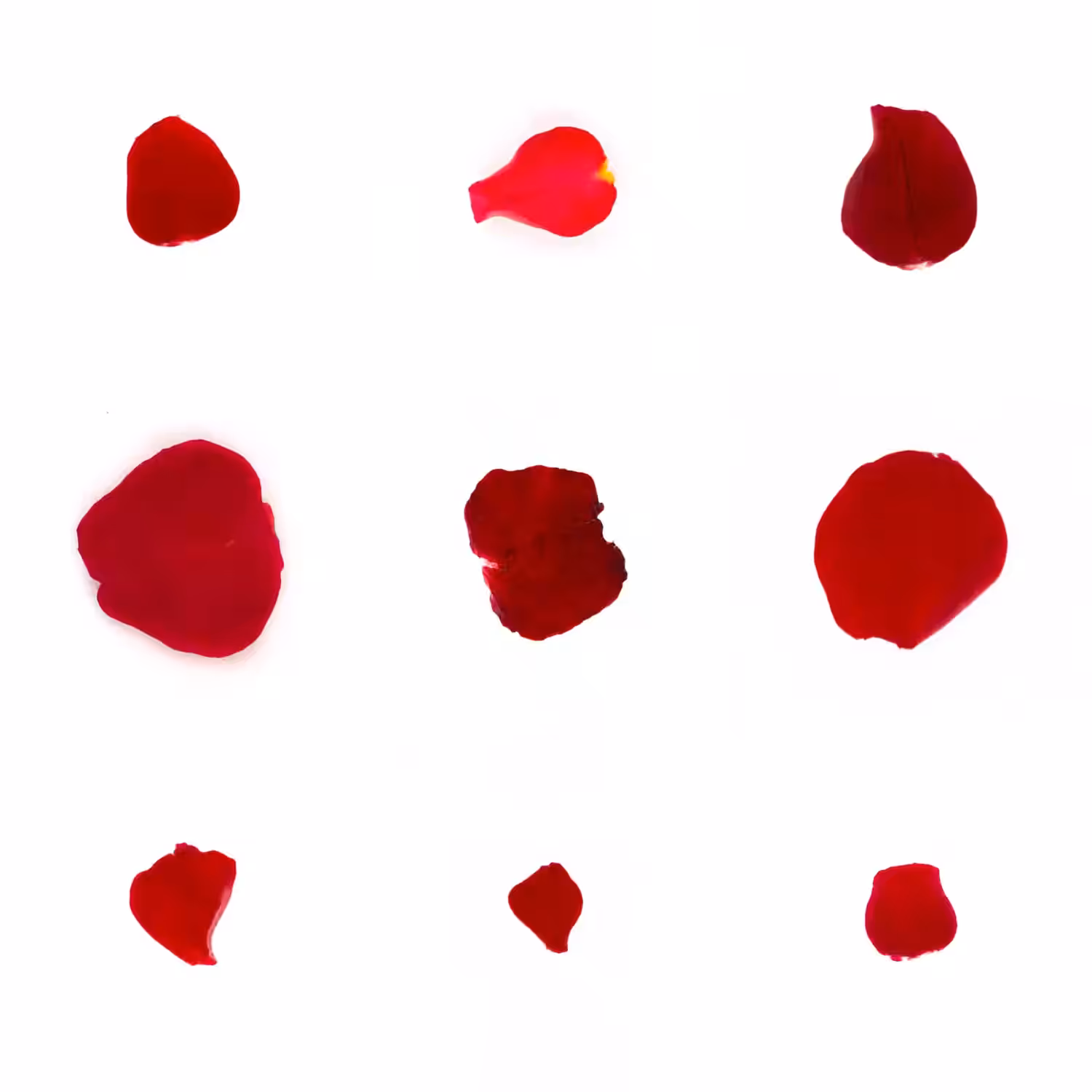 Infinite Petals 3x3#3882