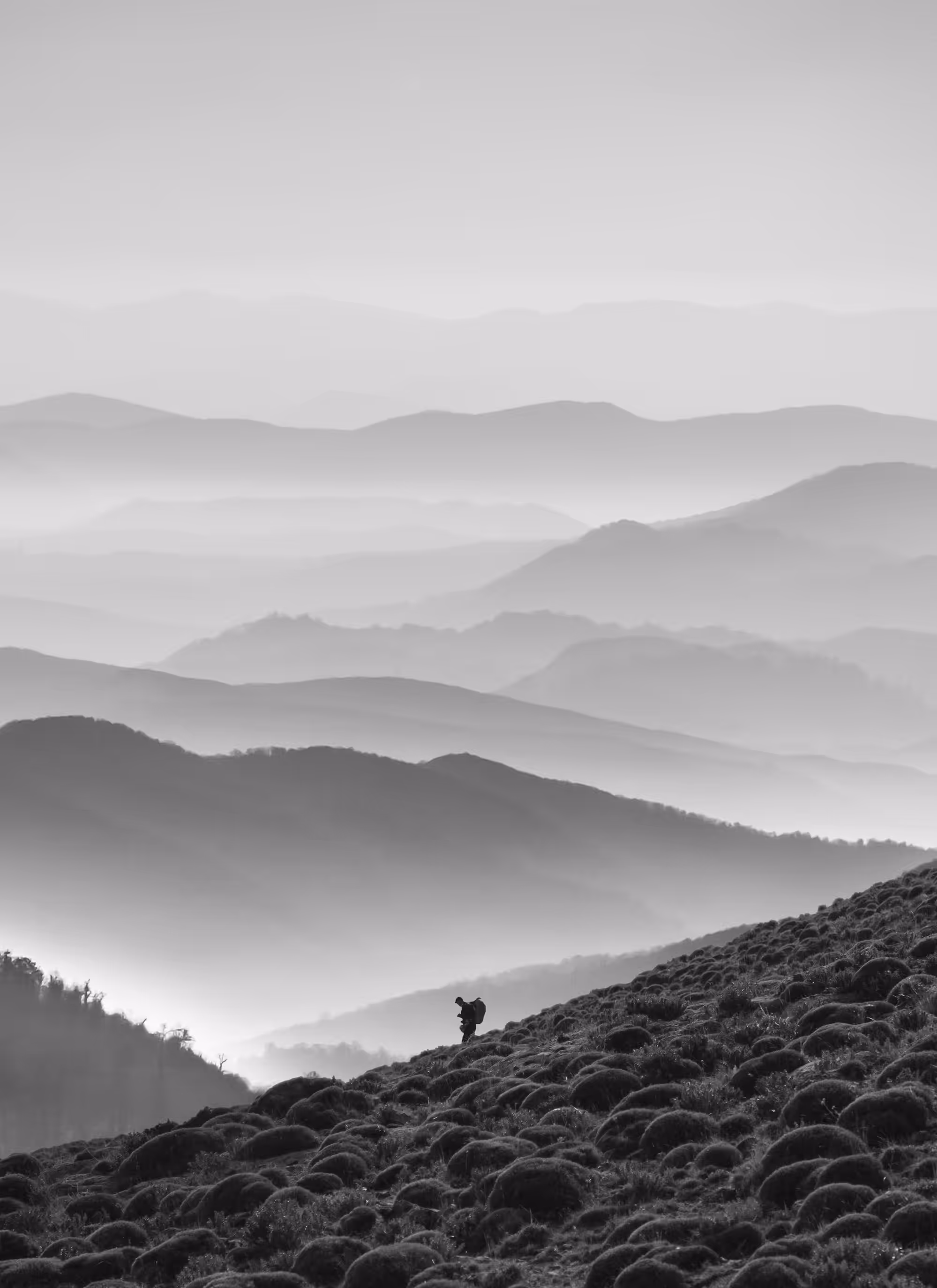 Horizontal Pleasures