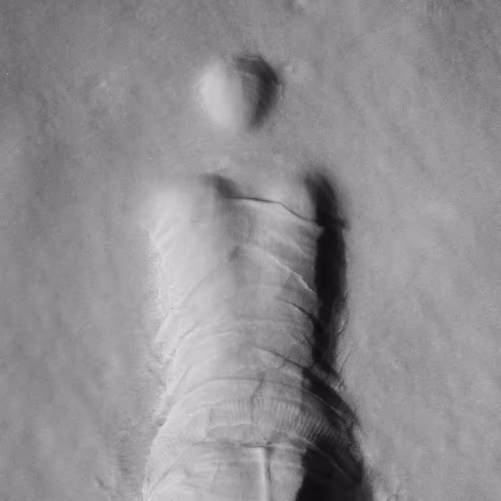 Snow print of the self