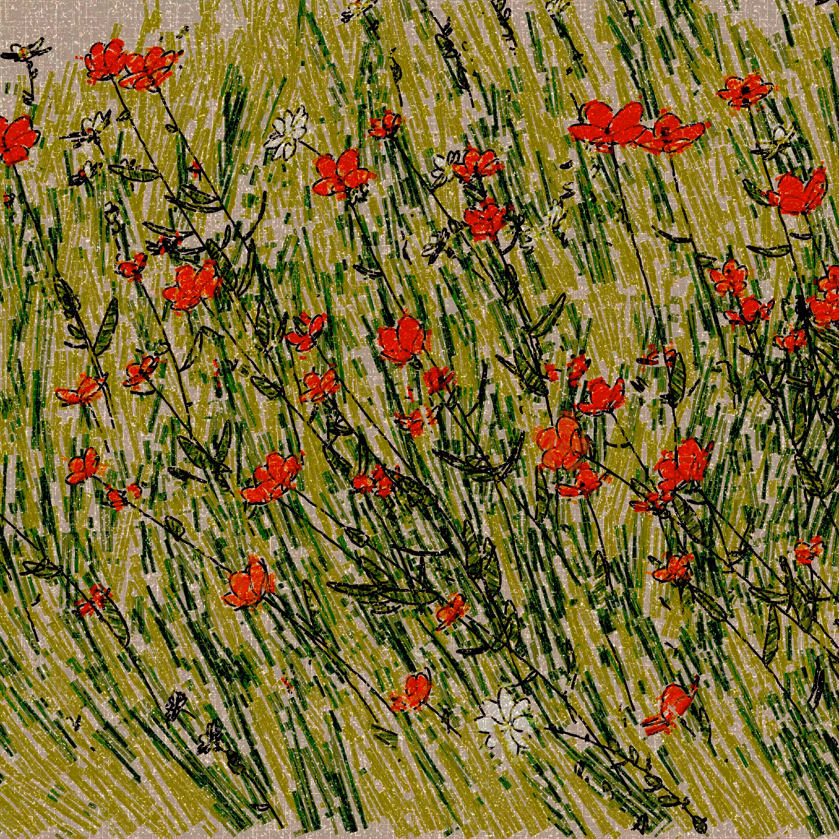 Armenian Poppies