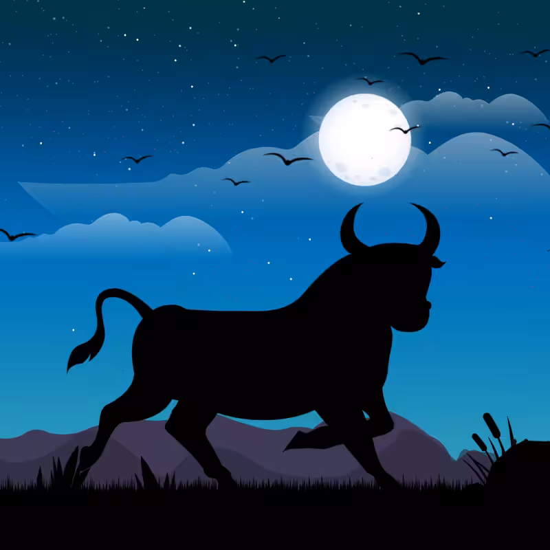 We Care...Bull #9