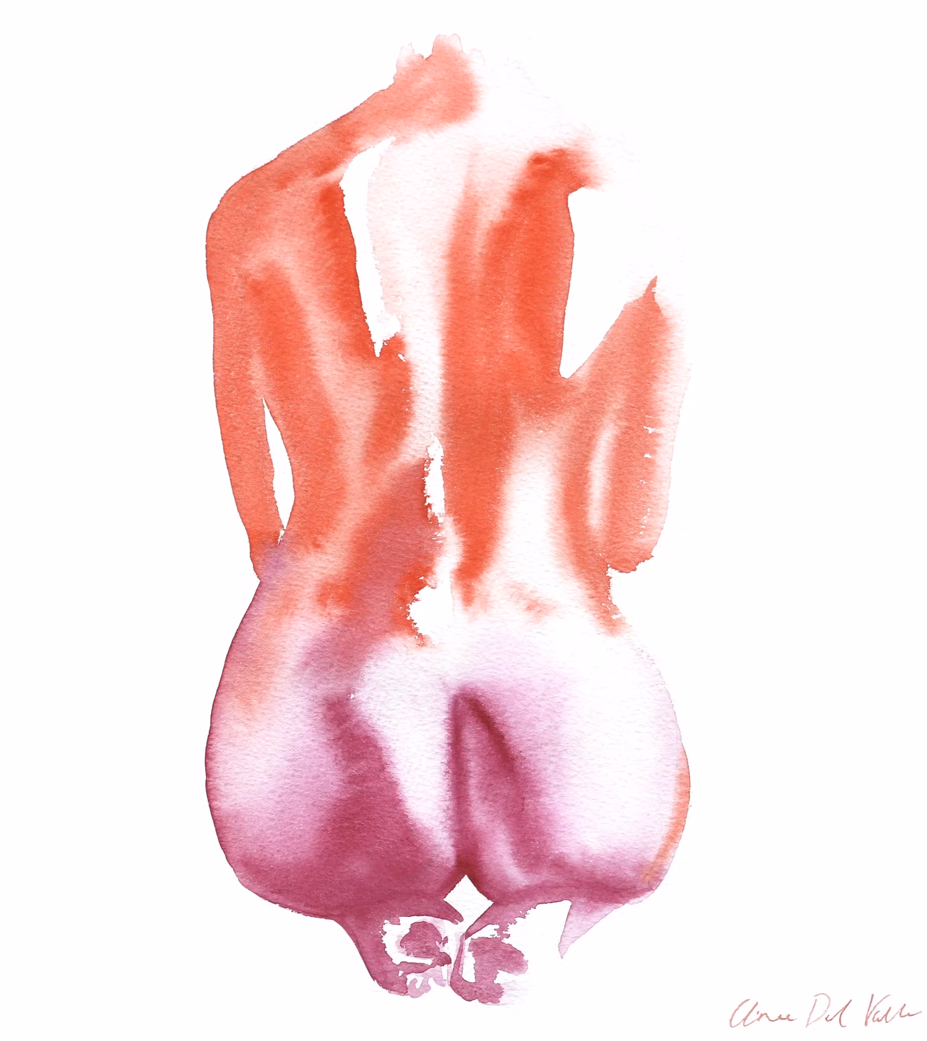 Aqua Figura VIII