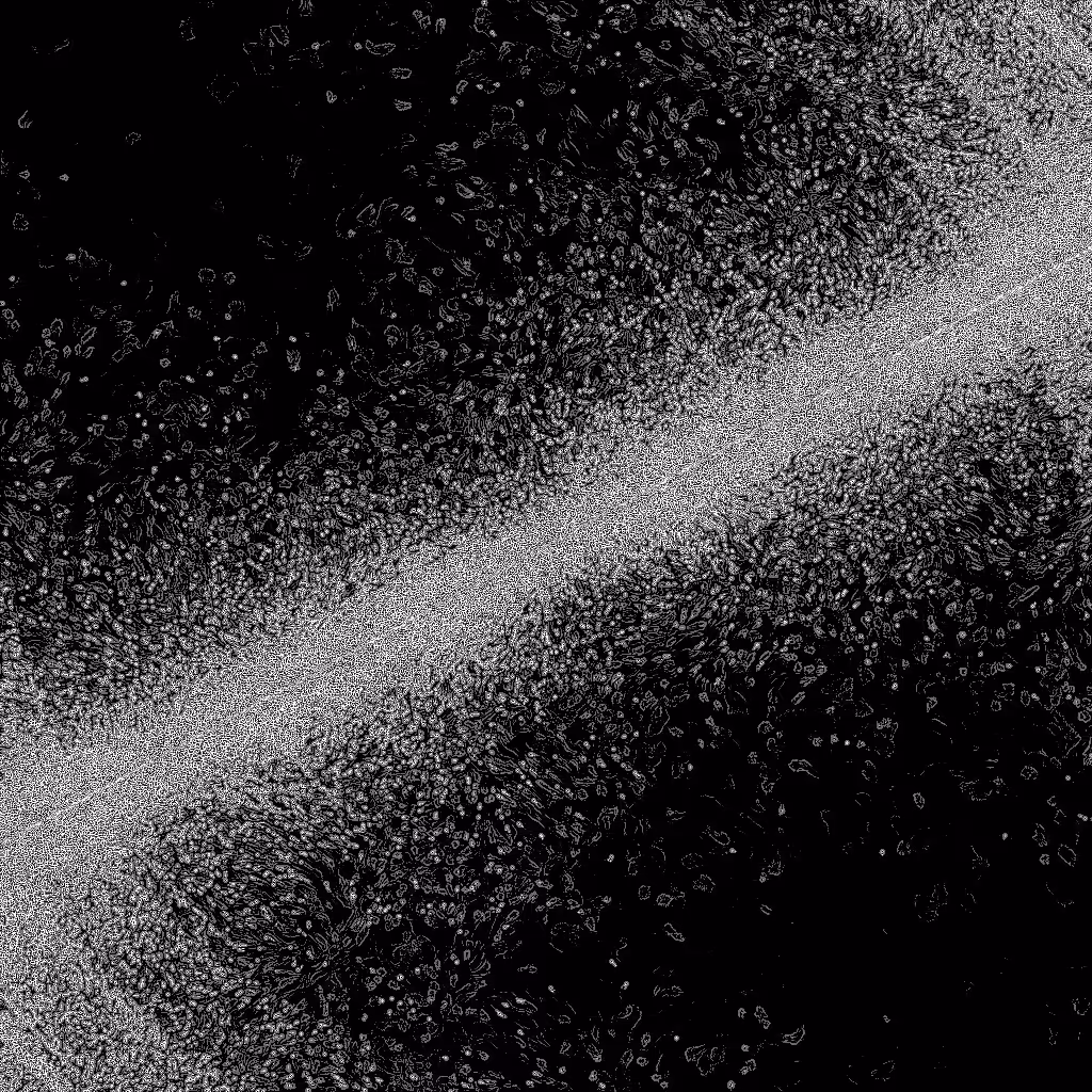 HIDDEN IN NOISE: Noise #175 