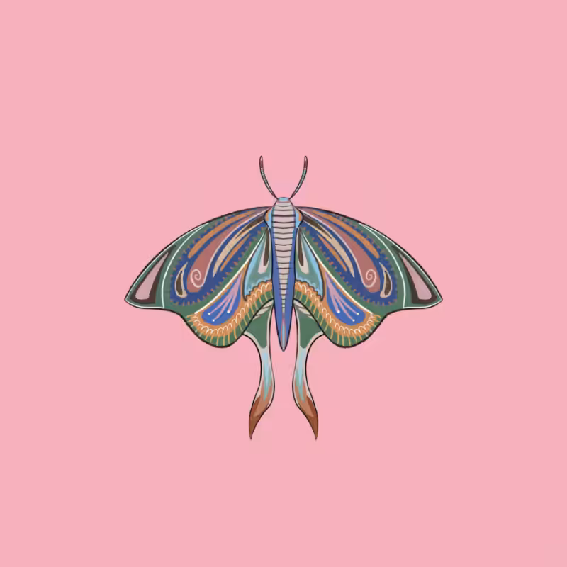 The Moth Experiment 2.0 P2 #9