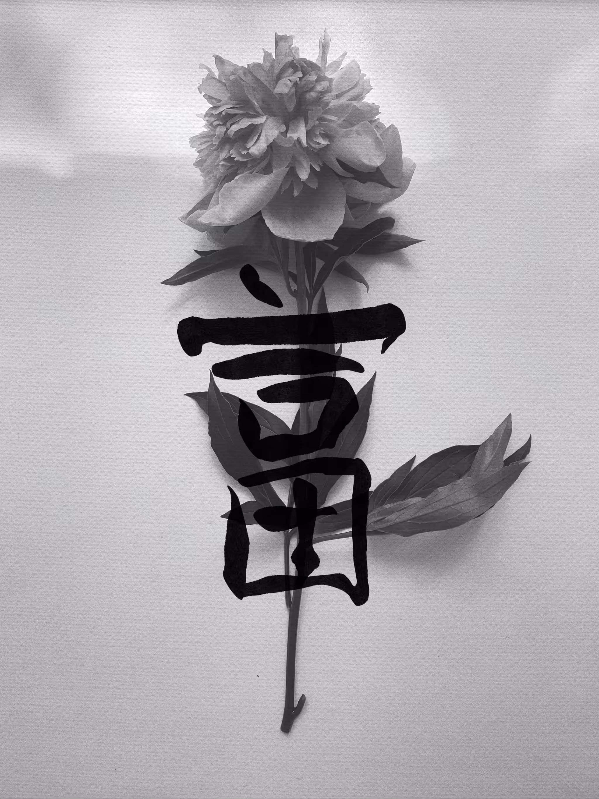 Flower IX