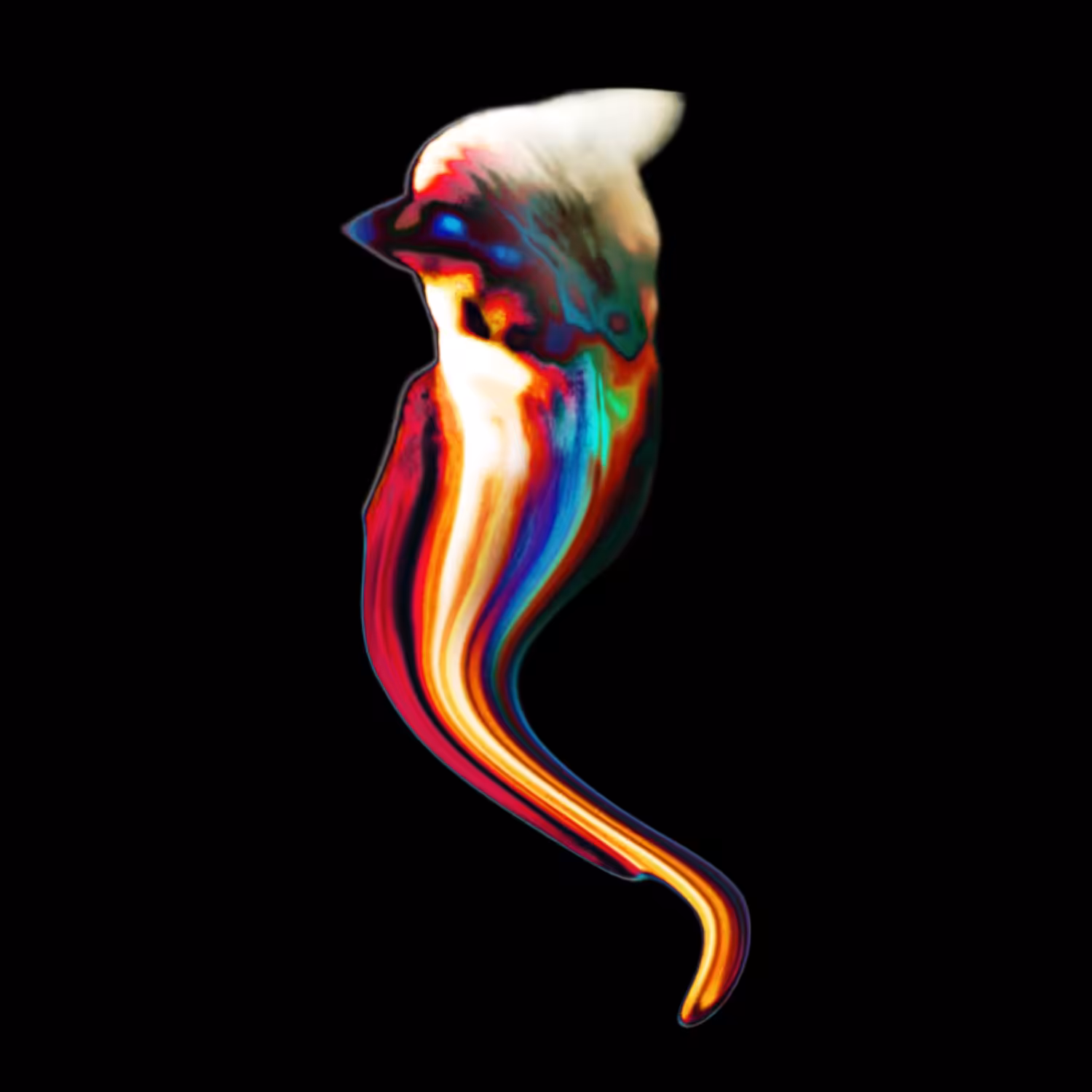 A5