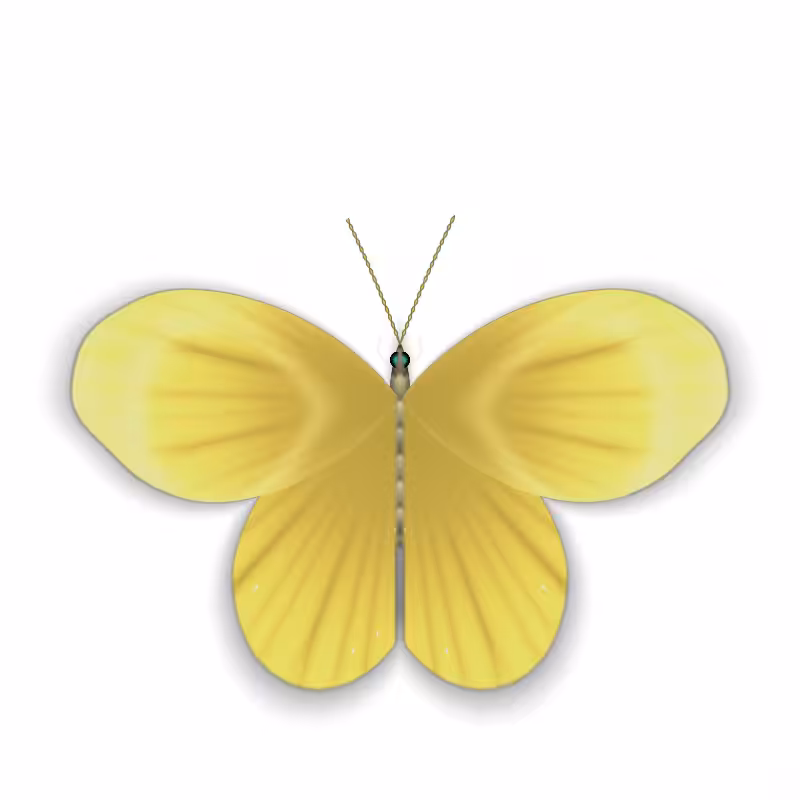 Vlinder II #42