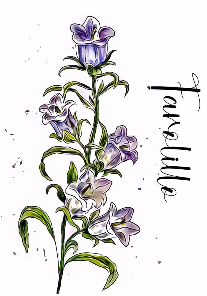 Farolillo