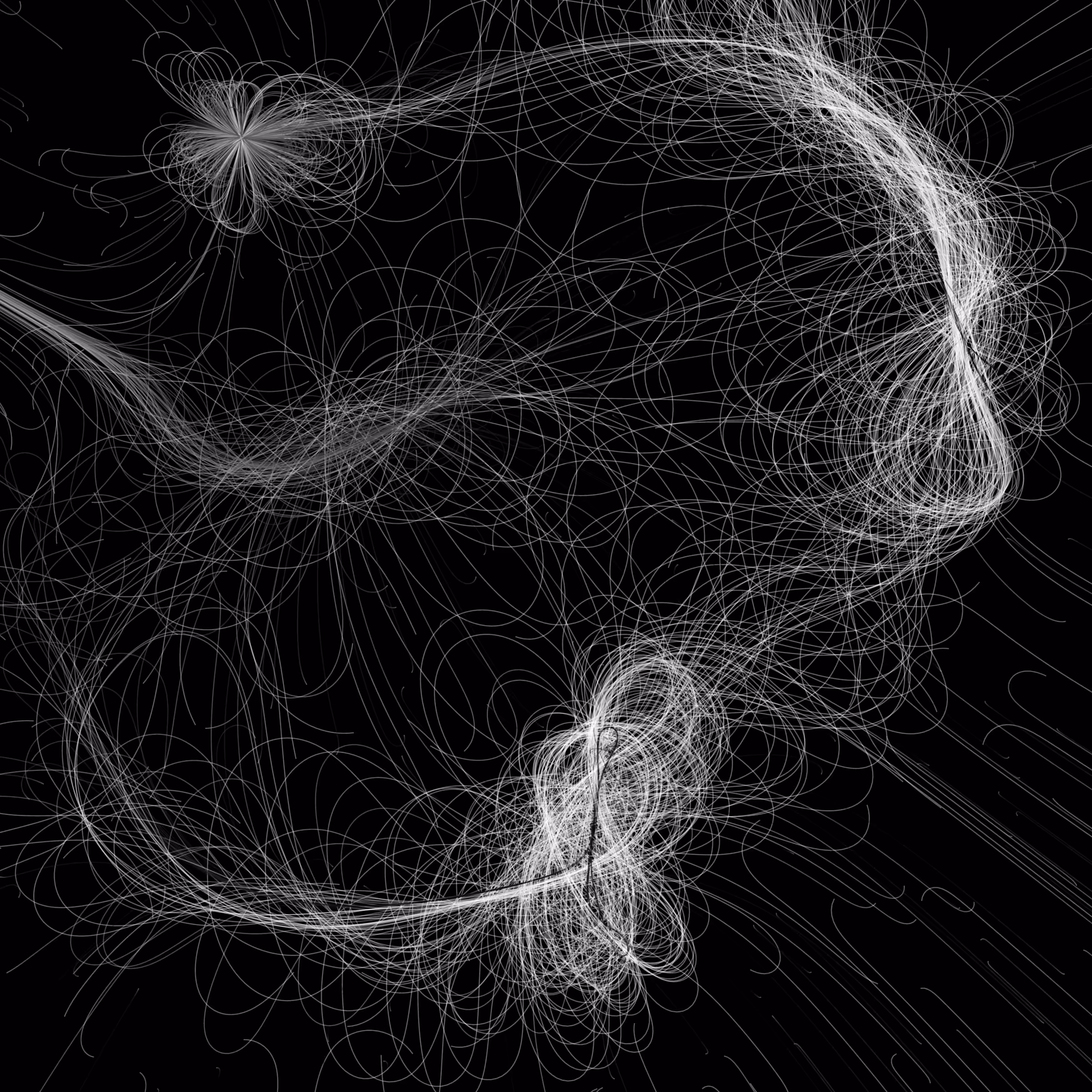 Phototaxis #657