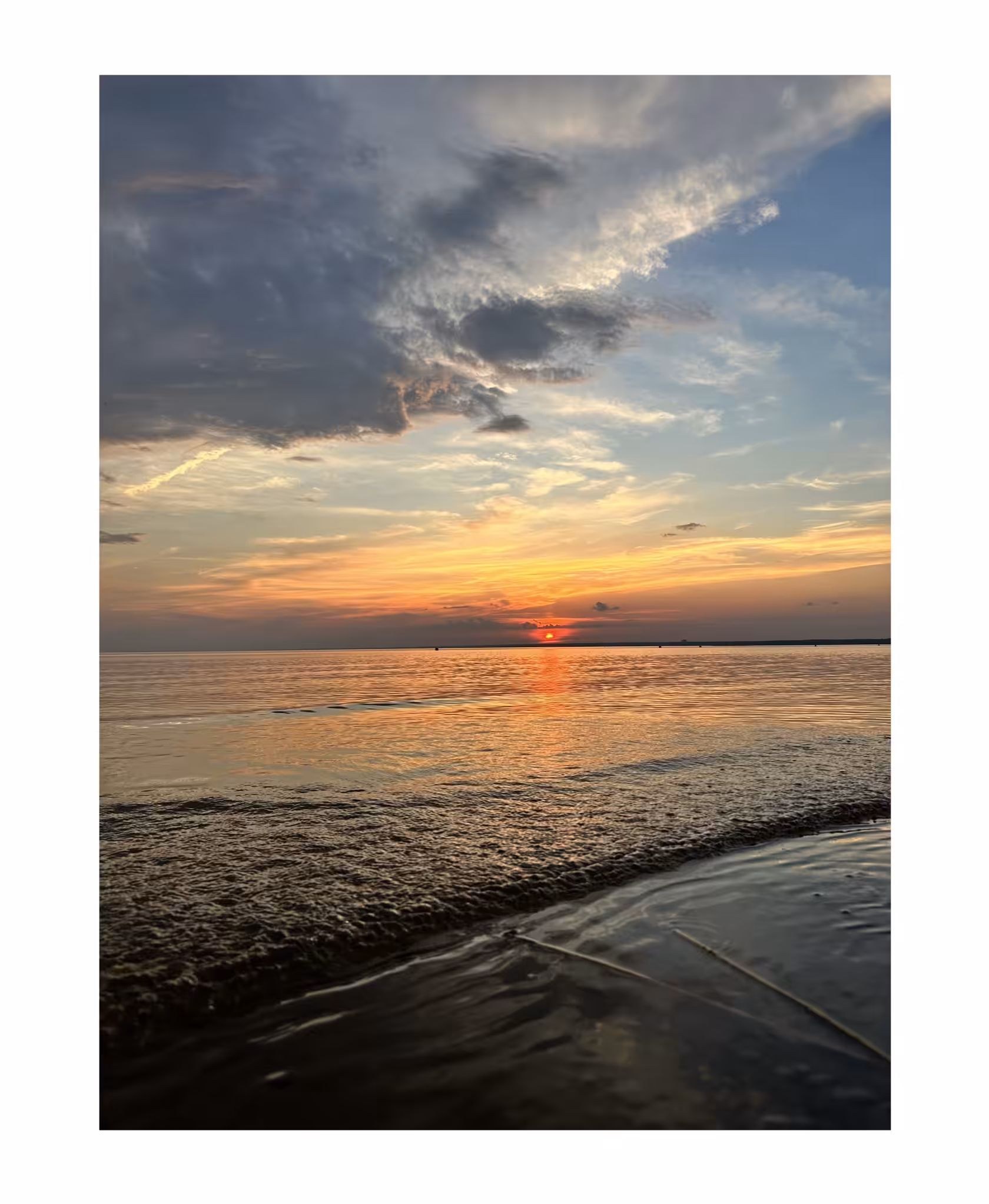 beauty is around us