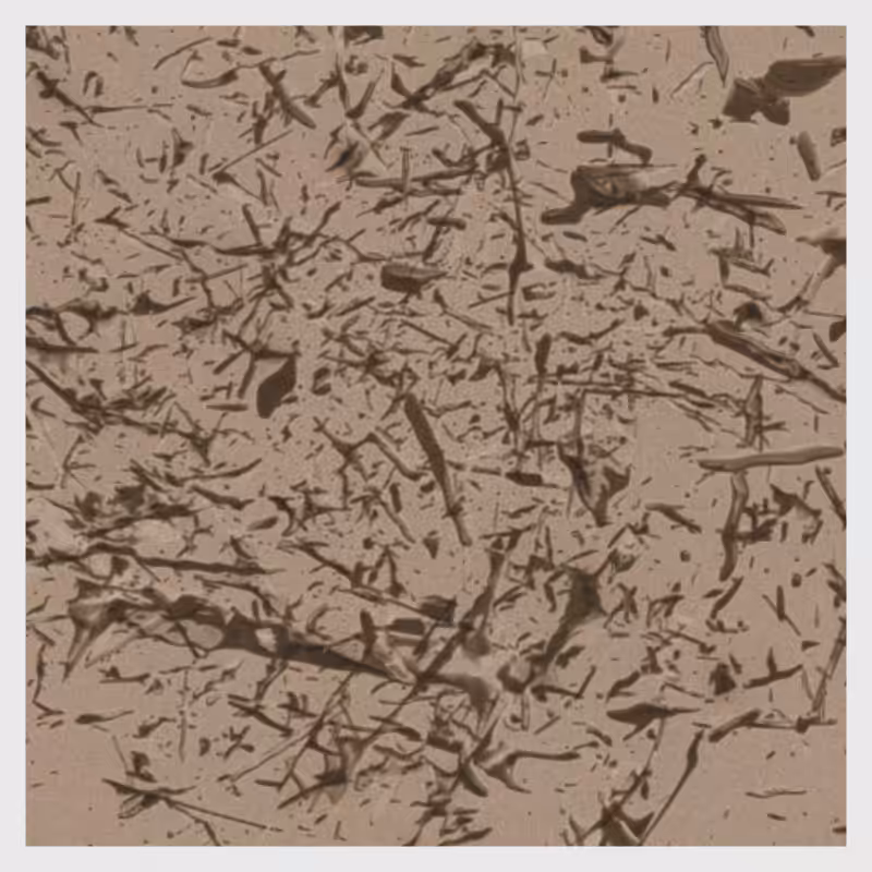 Dynamical System #15