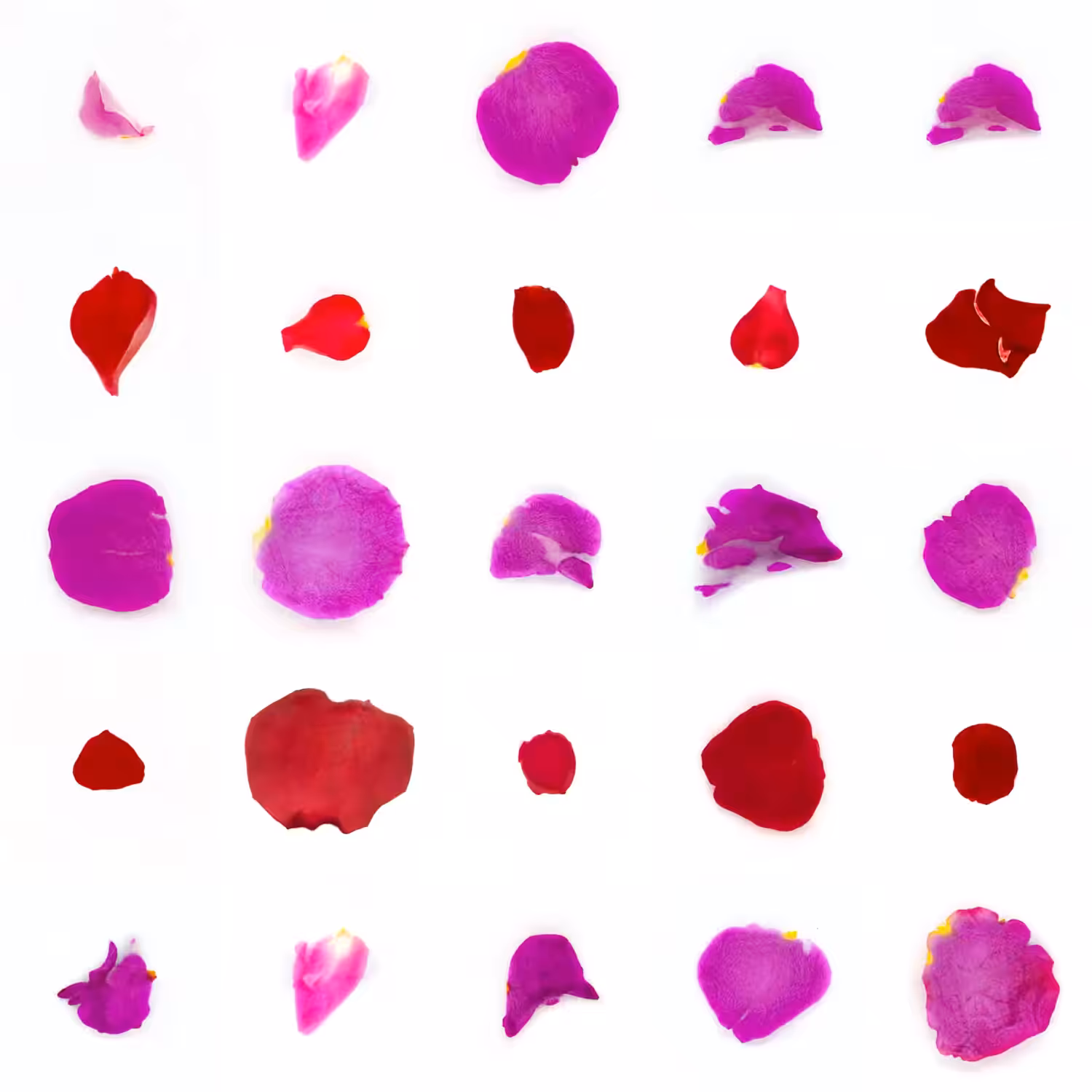 Infinite Petals 5x5#1238