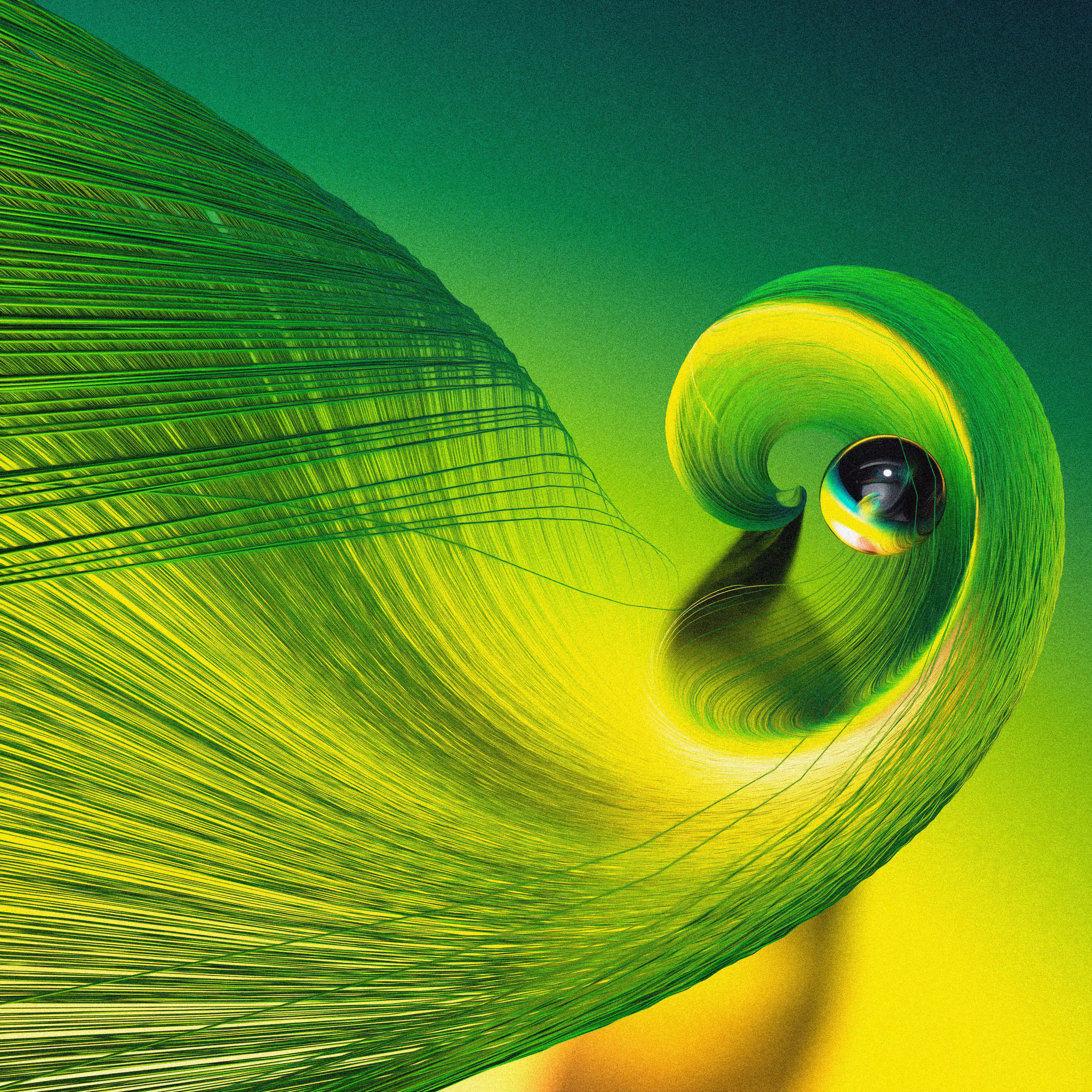 ˈgrasˌhäpər
