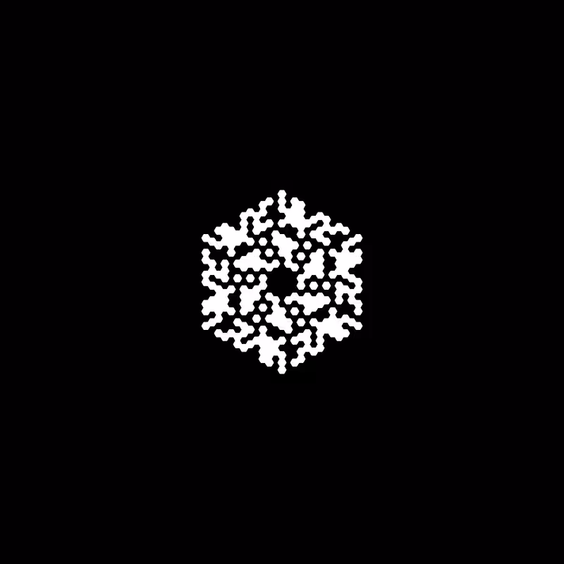 Snowflake #563
