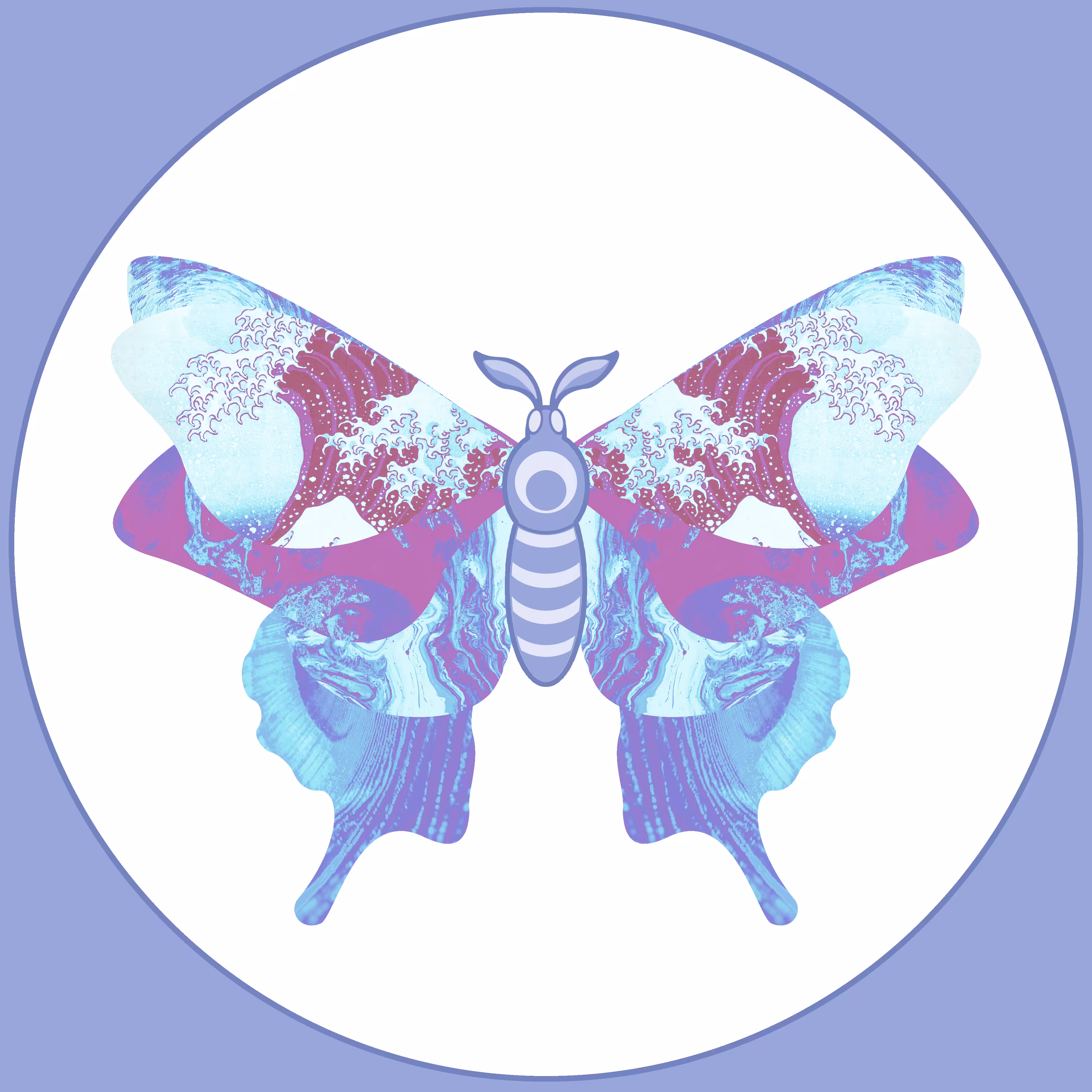 Moth #9