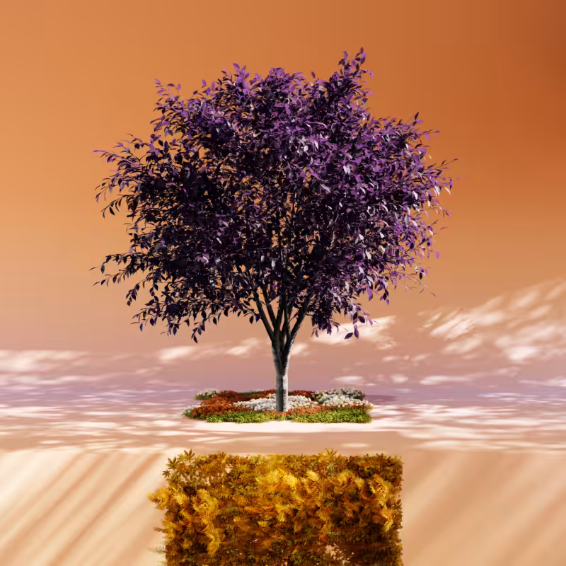 Nature rooms #34