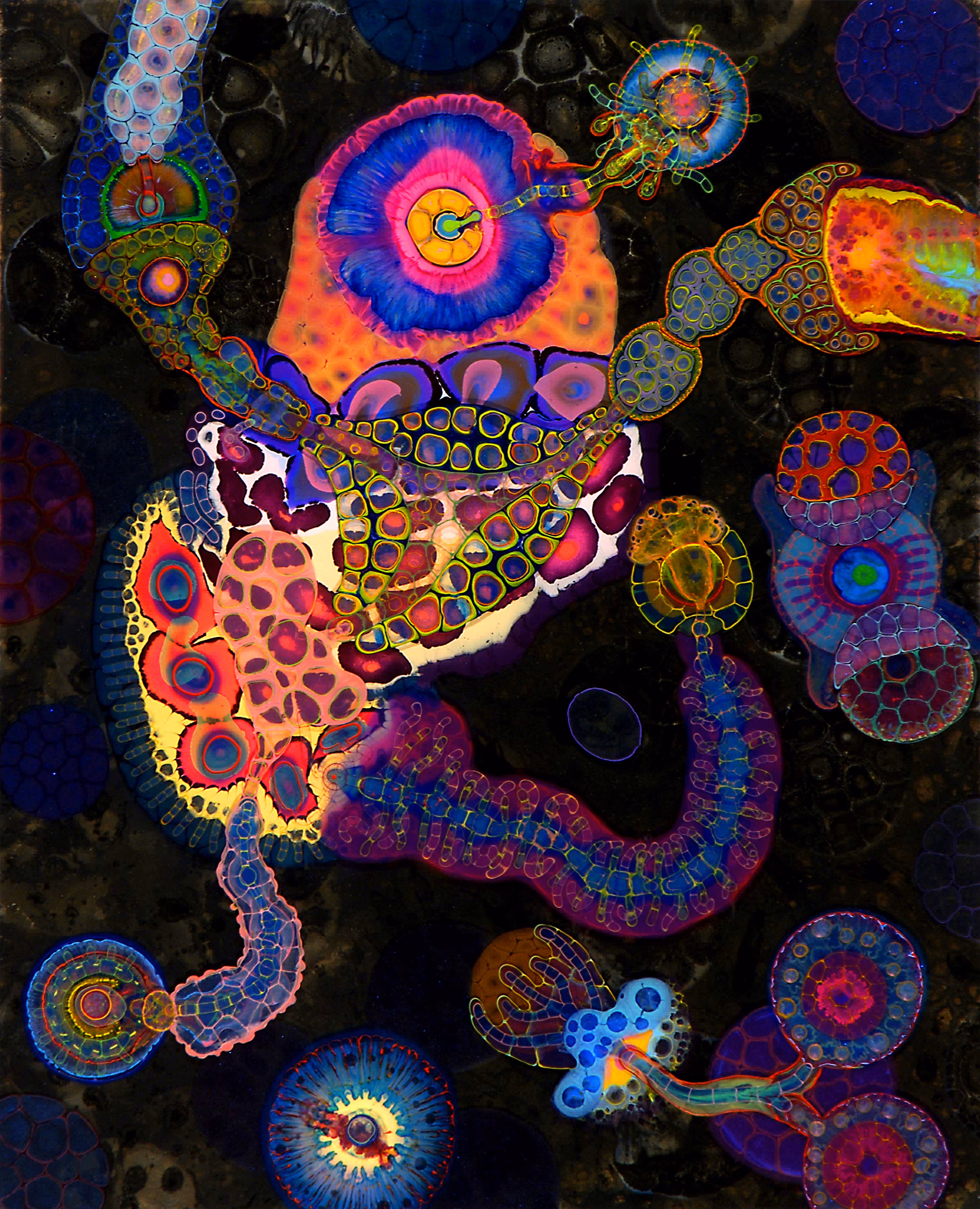 Incubus