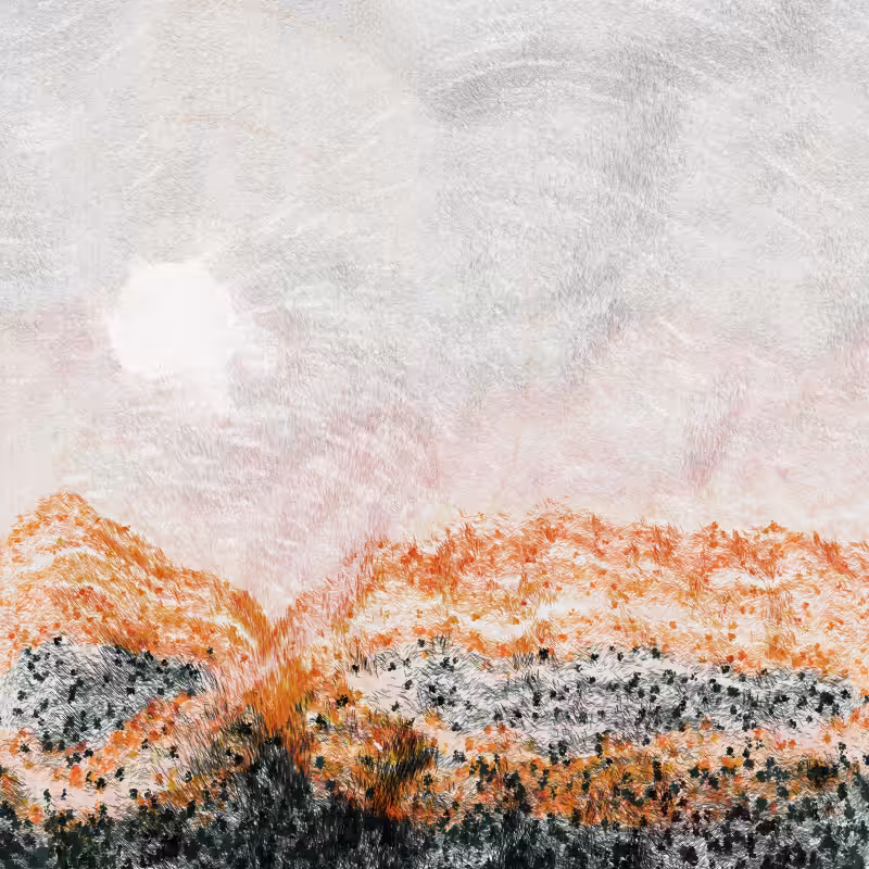 Cold Mountain #363