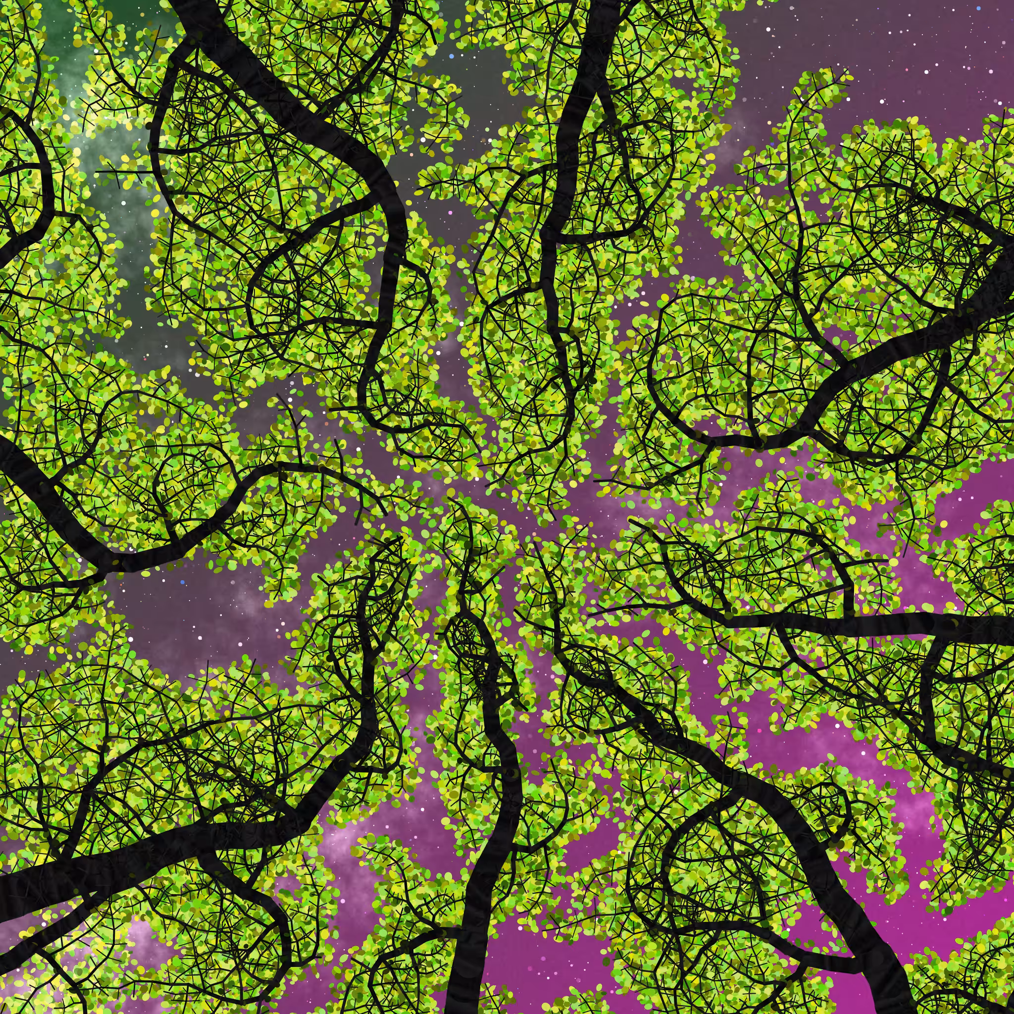 Tree Skyness #98