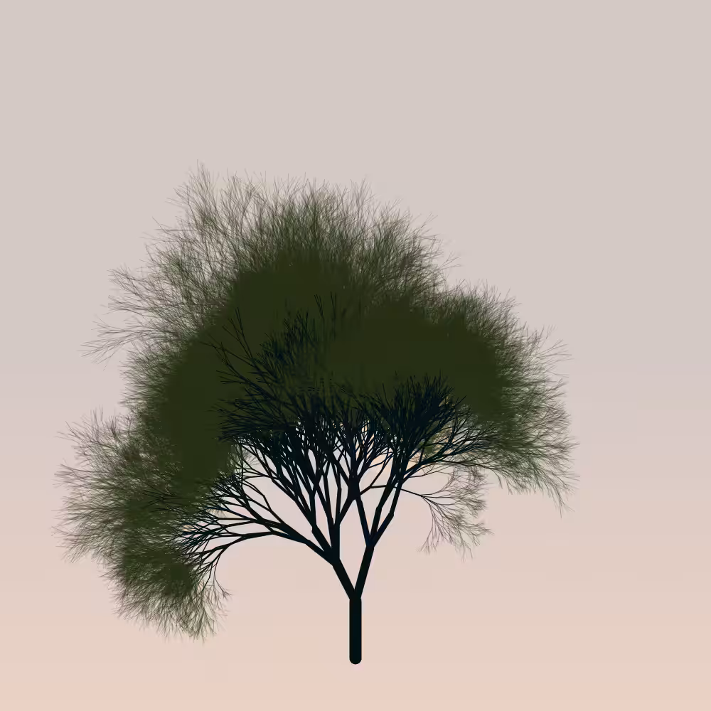Sakura #38