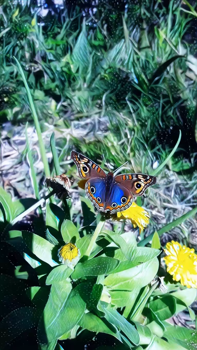 Las alas del tiempo