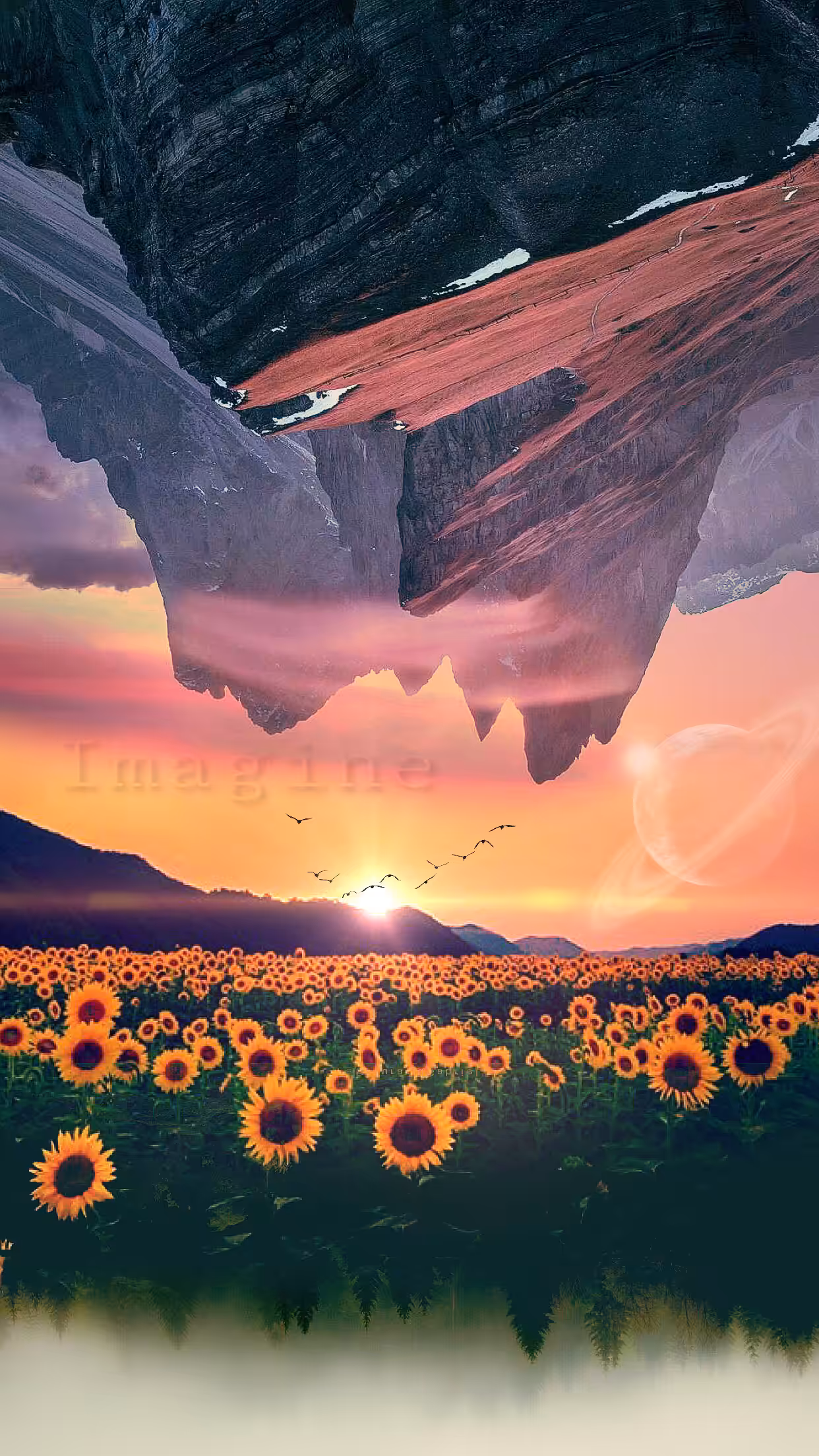 Imagine