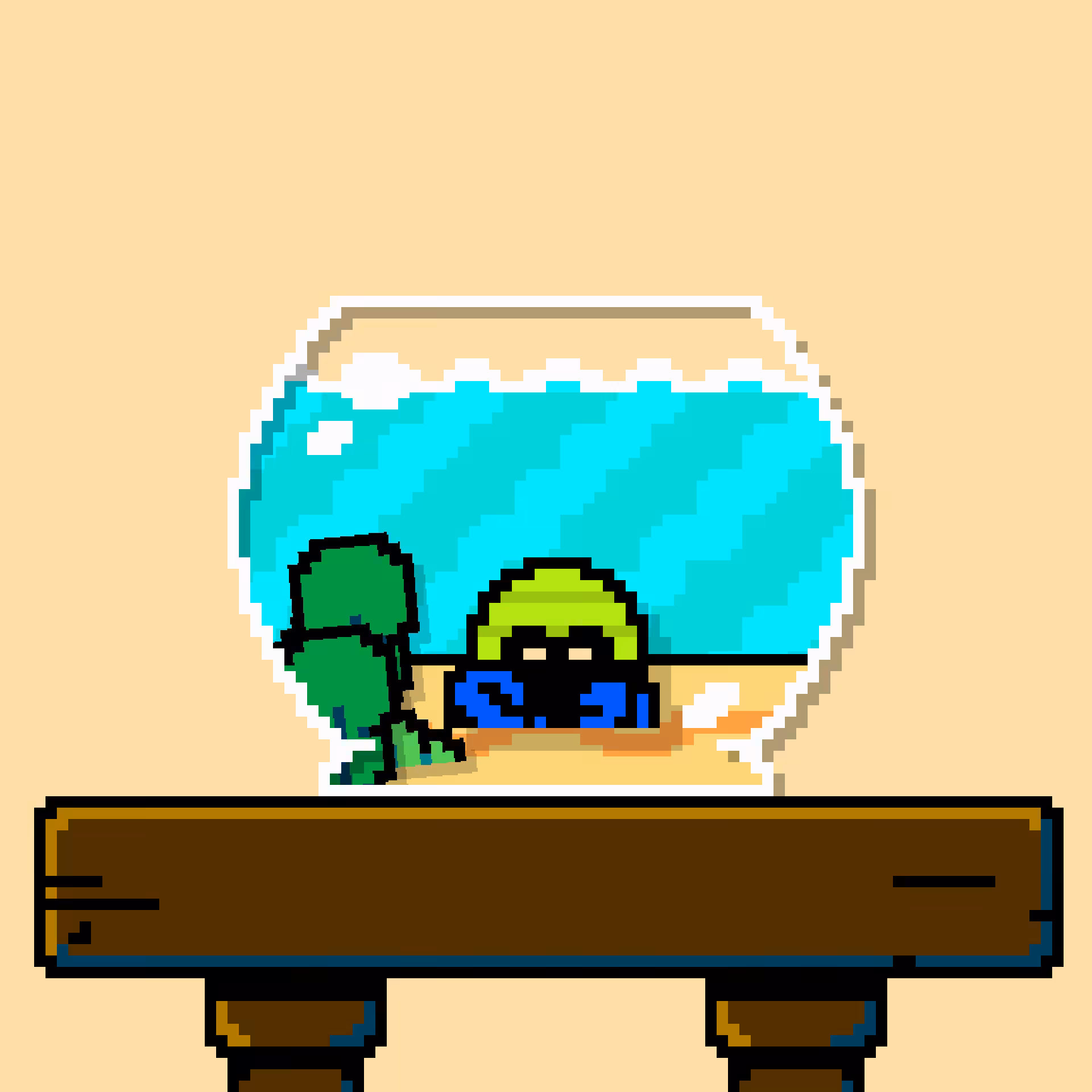 hermit crab #47