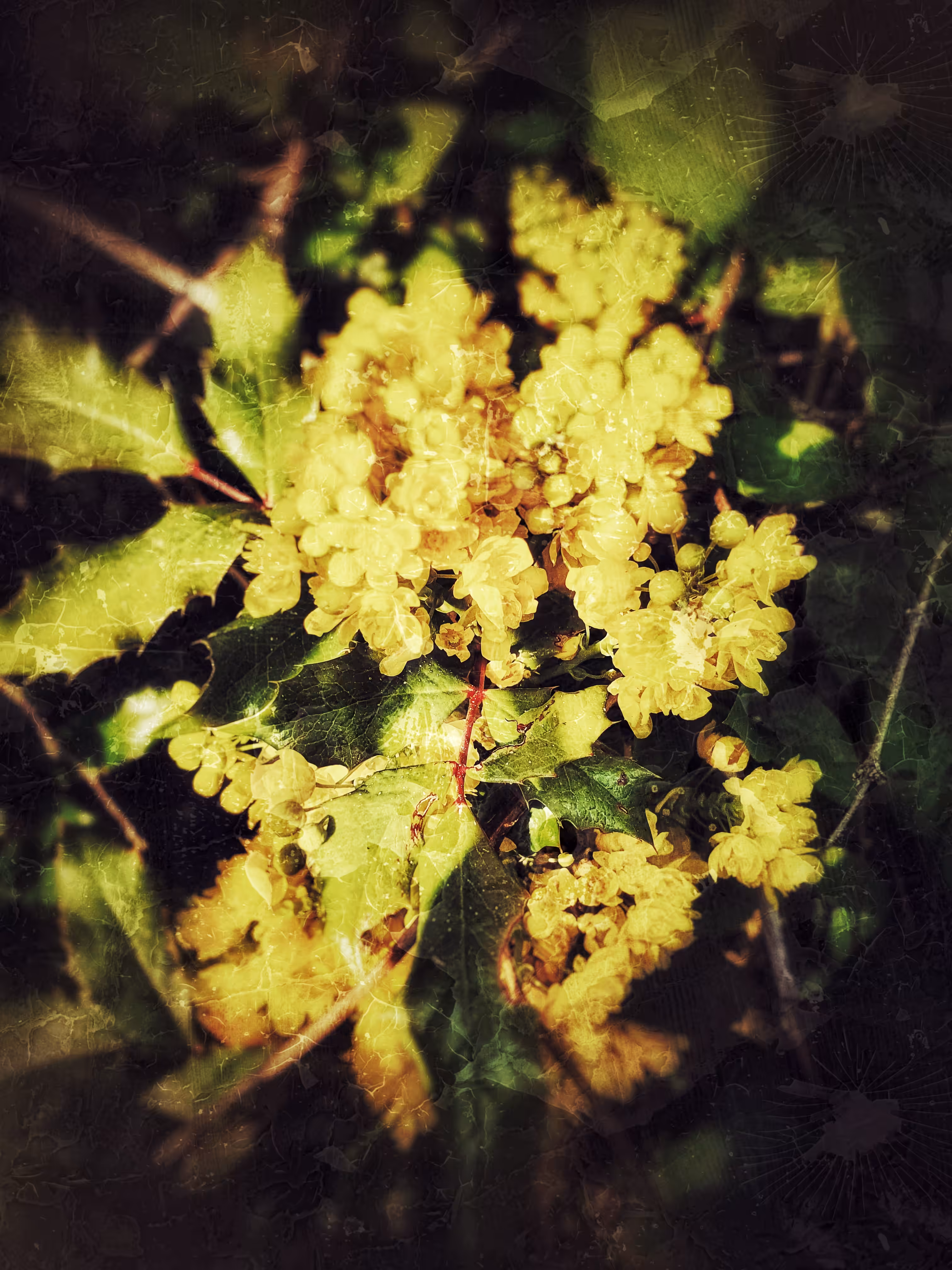 Flower Powerr #2 - Yellow