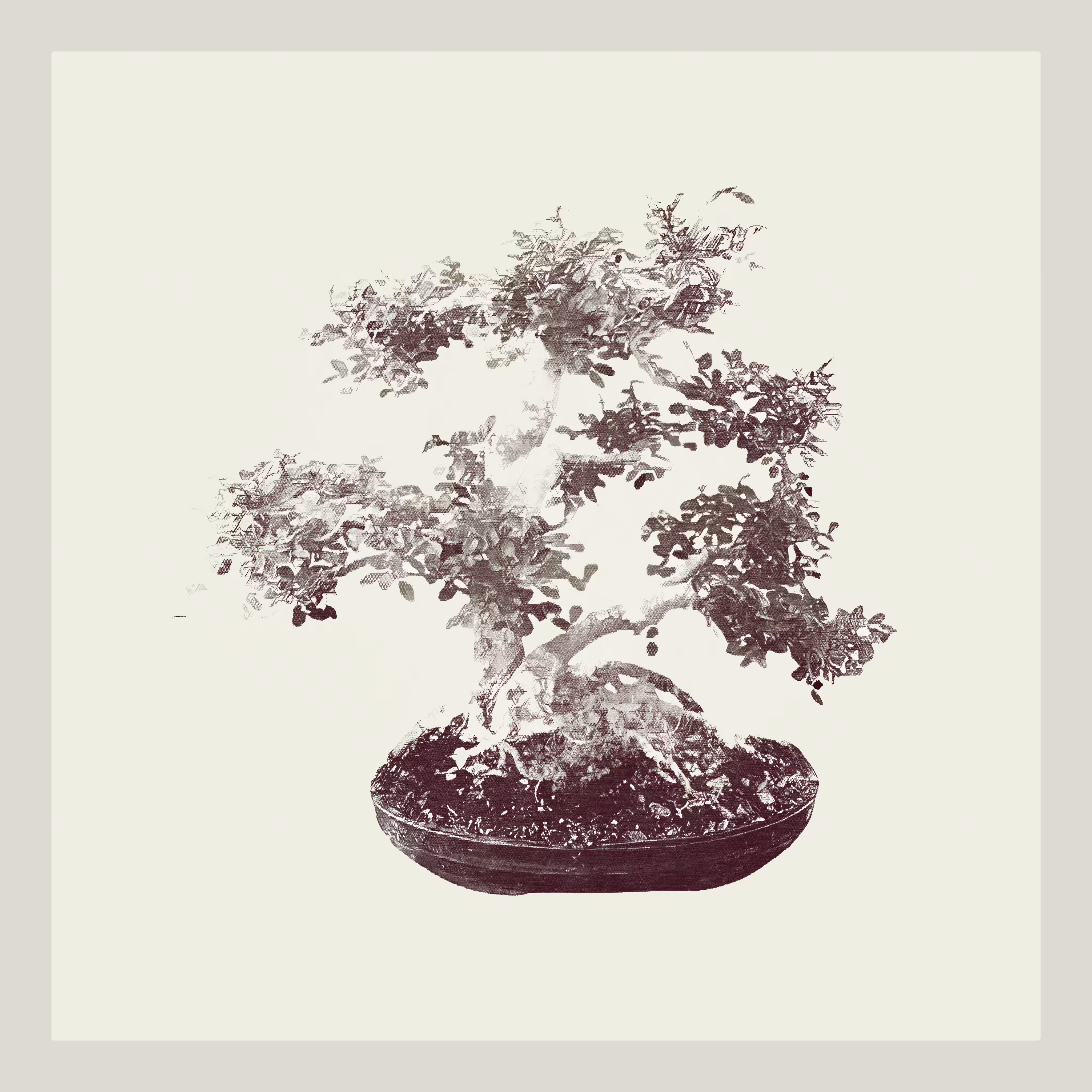 Ulmus Bonzai generative tree