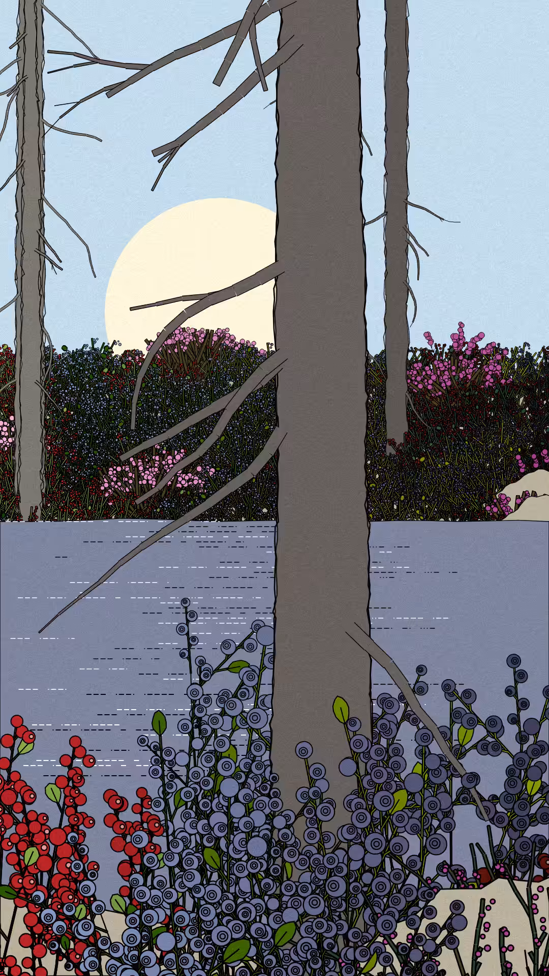 Swedish Forest #44