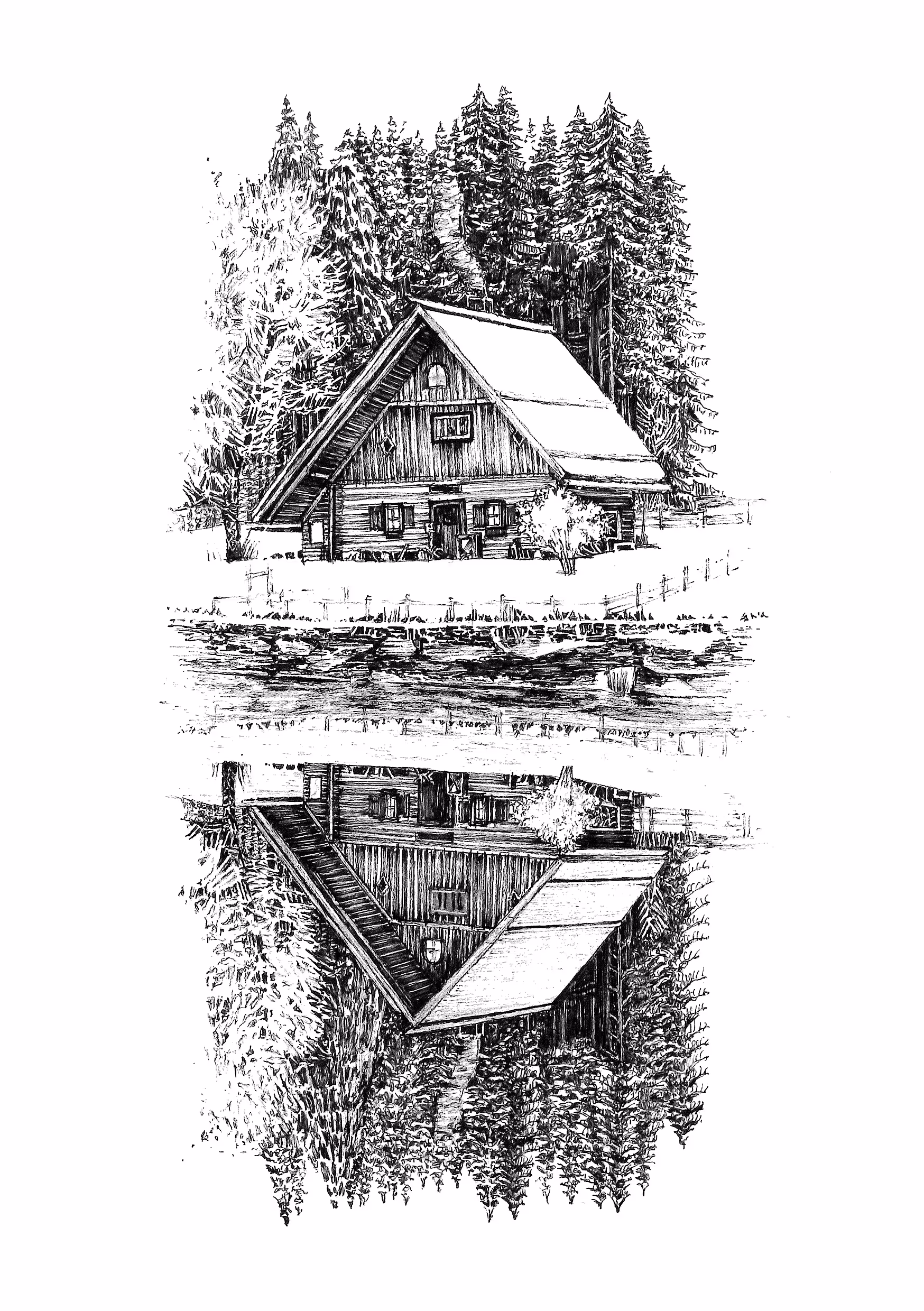 House #49