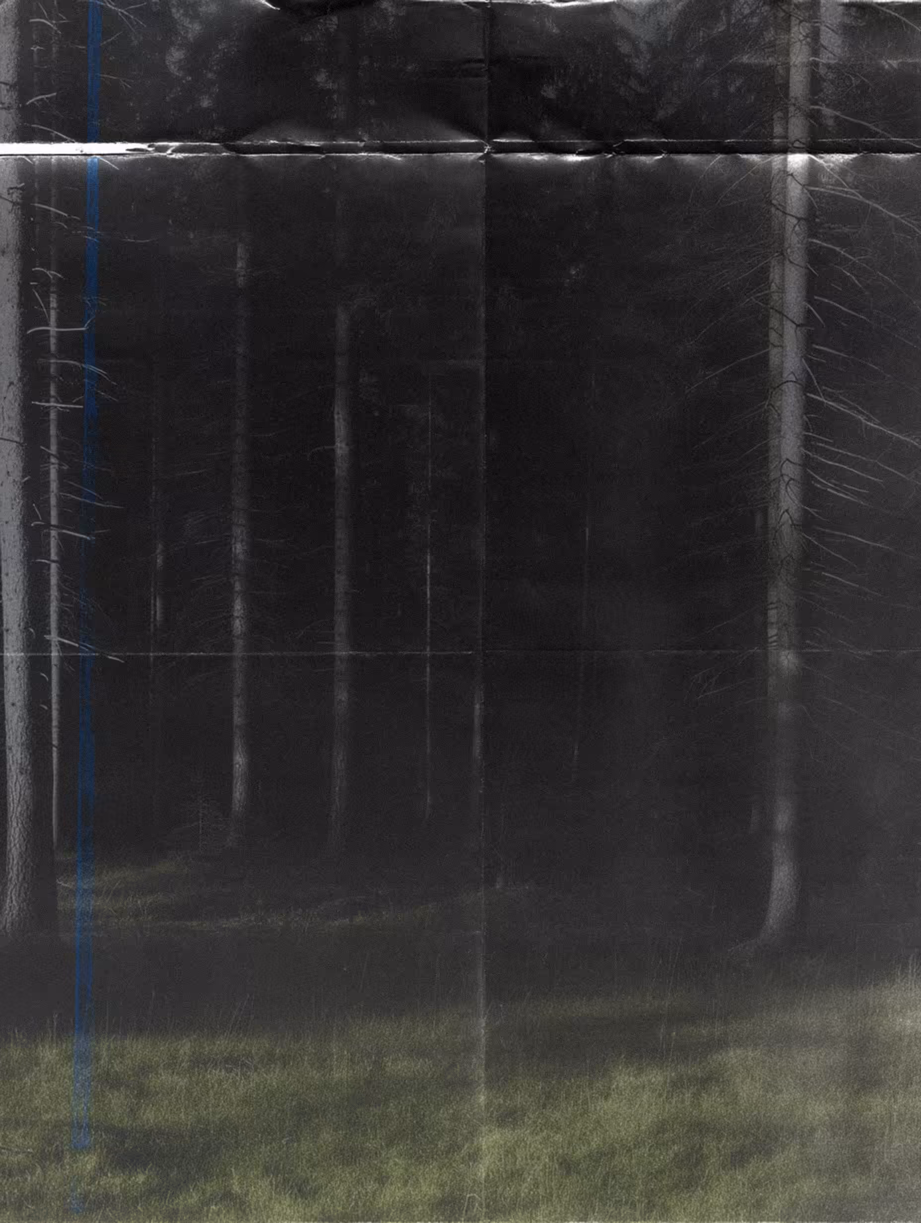 NeLandscape [19]