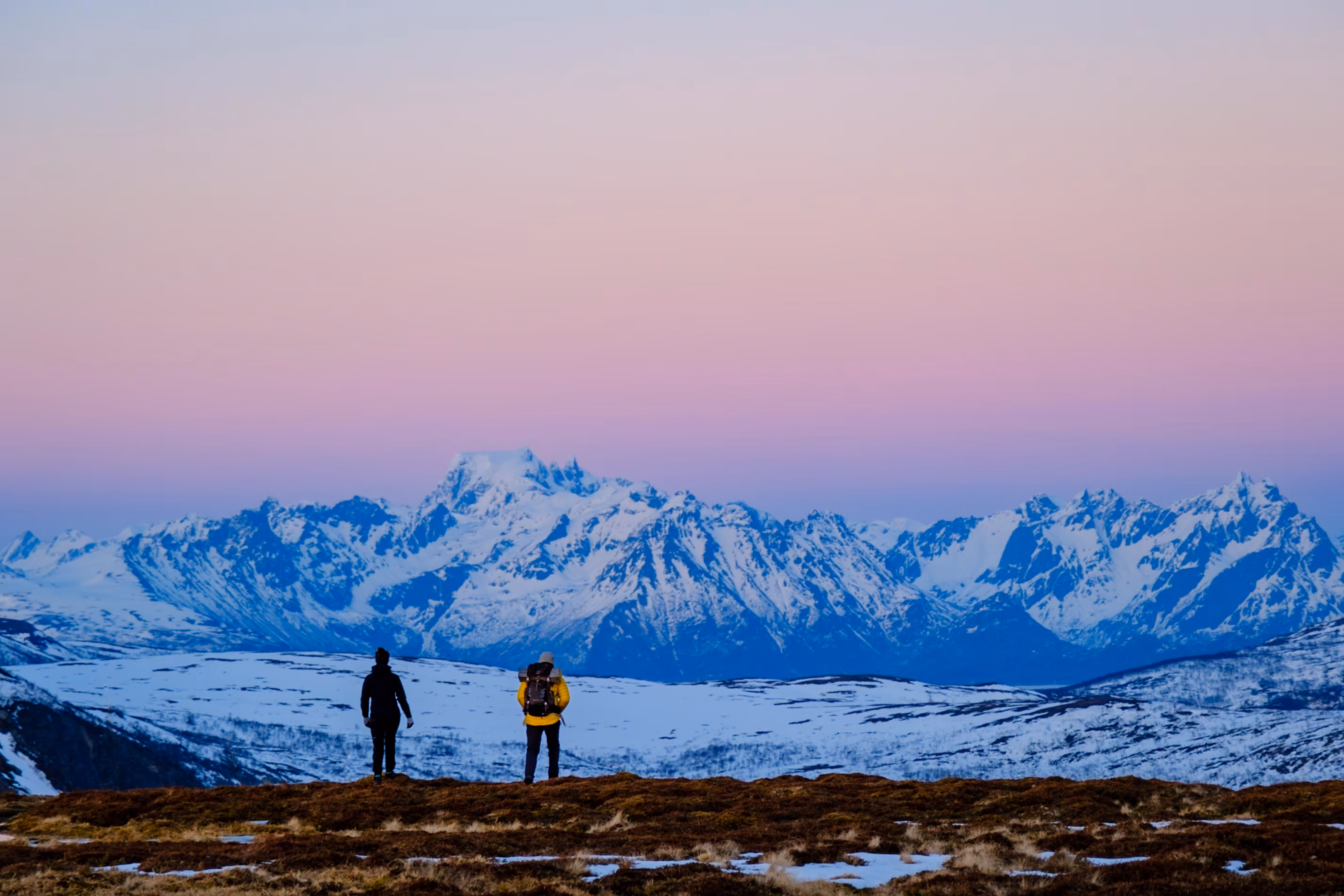 The wanderers 