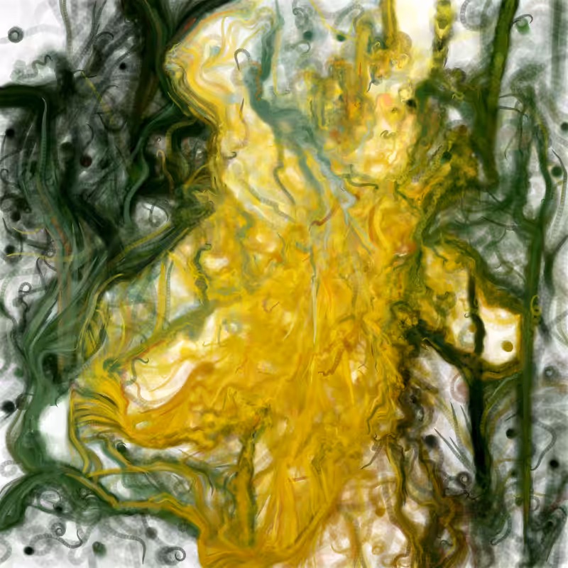 Hypericum #235