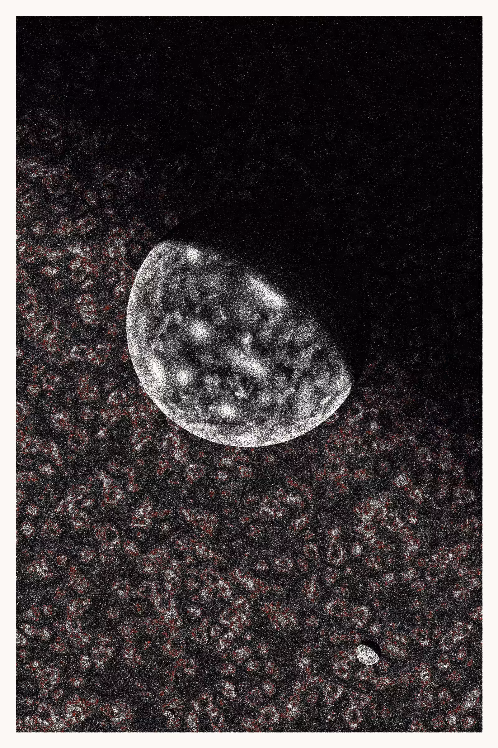 Voyager #138