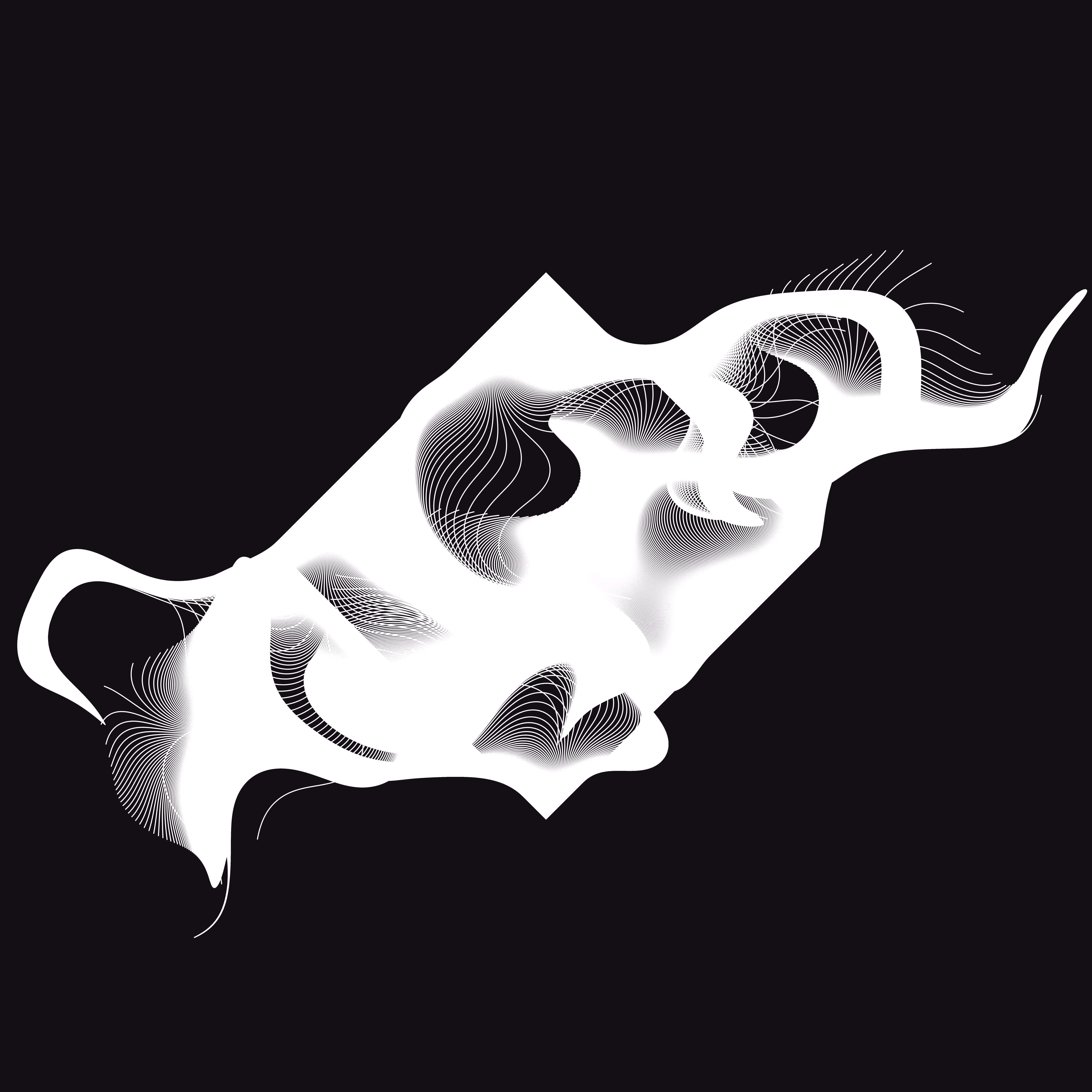 bw.curl.smoke.diamond