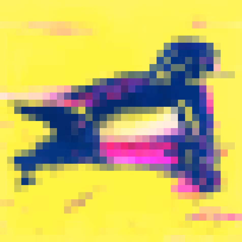 PixlBird #000