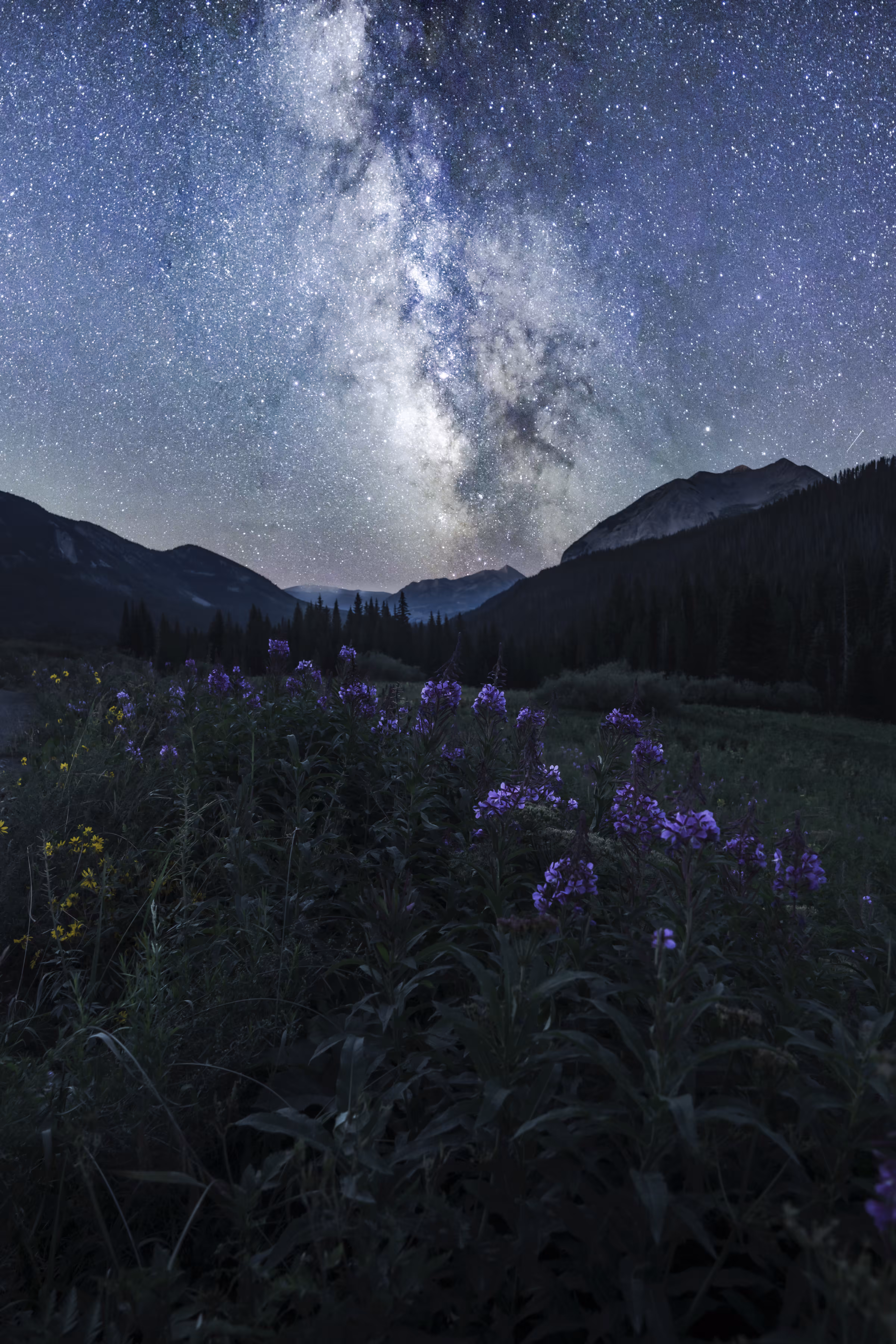 Starry Night in Crested Butte