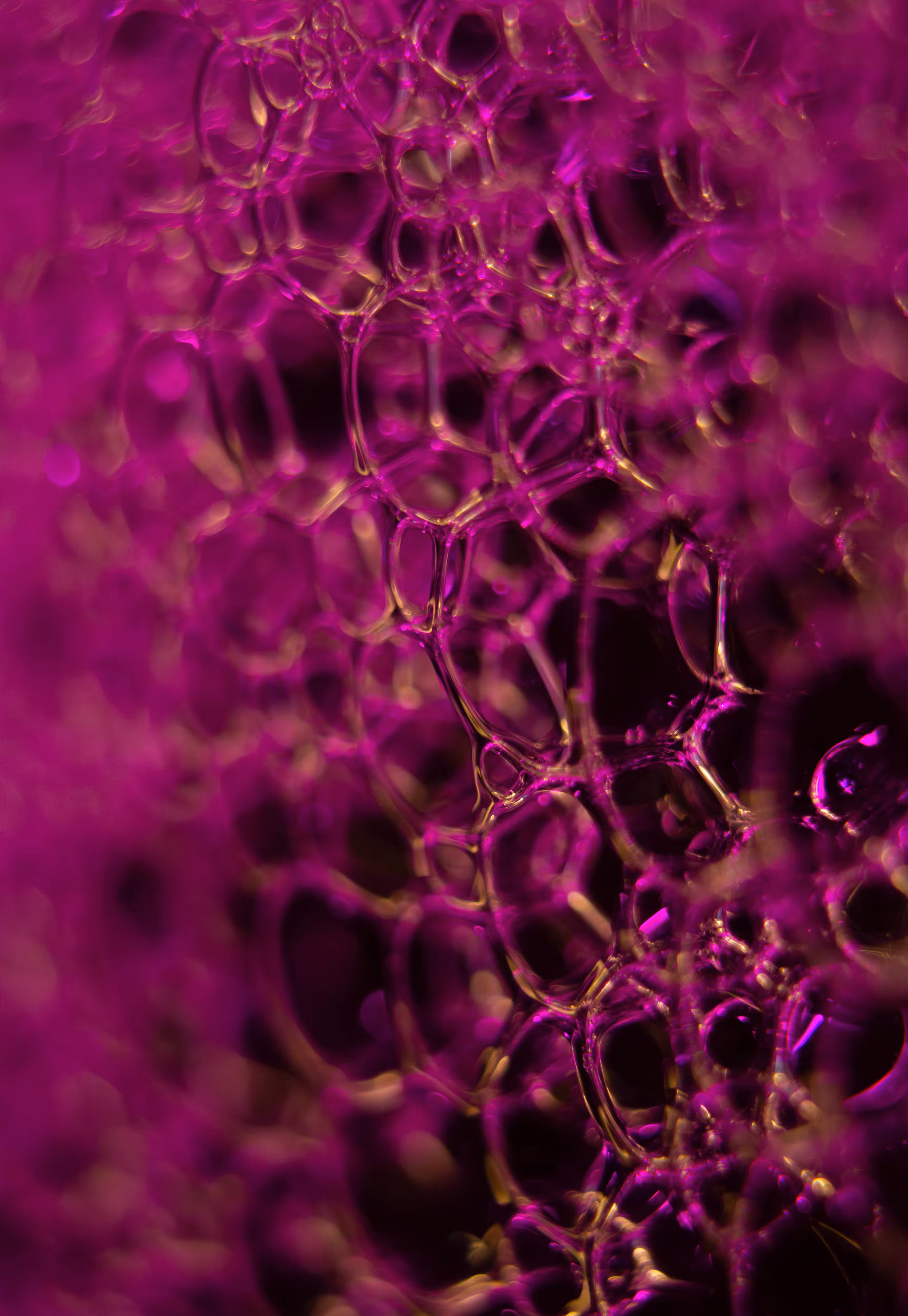 Abstract World of Soap Bubbles: #121 Bubbles
