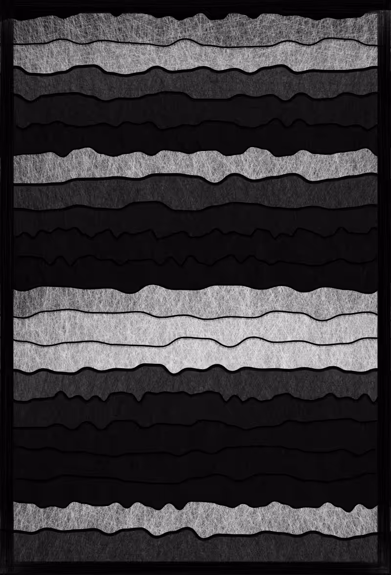 Ode to black and white #6
