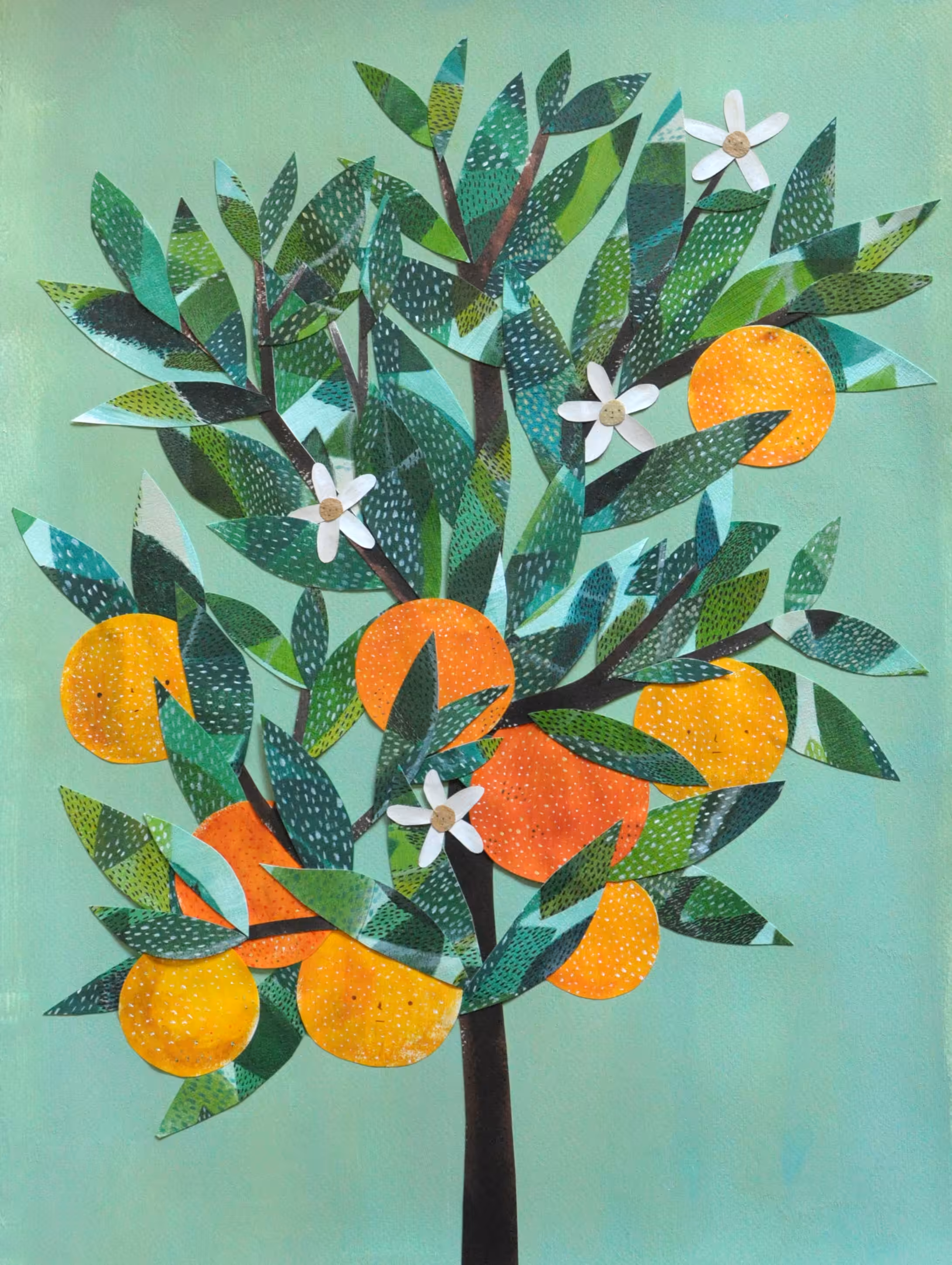 Orange Tree