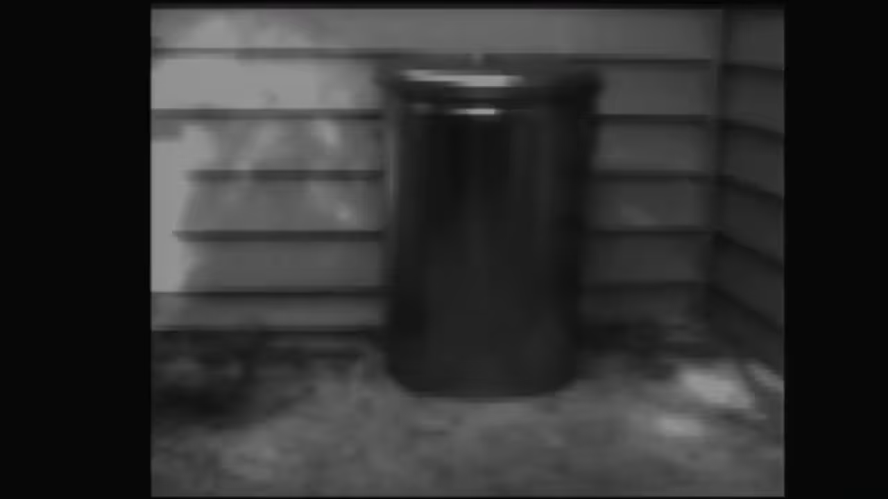 TRASH MOVIE