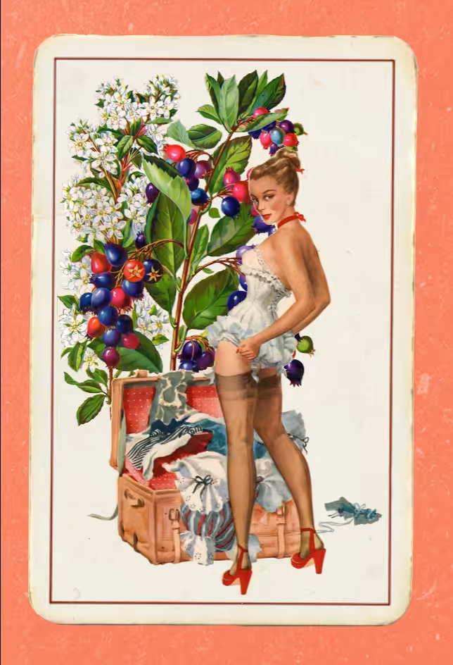 Paper Pinups #29