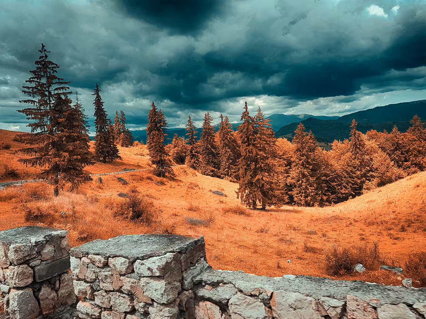 Carpathian Mountains #2