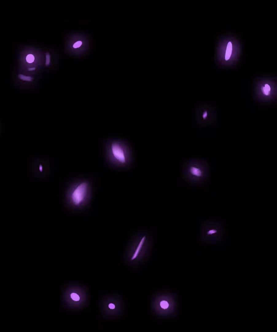 Quantum Dancer : Black Hole