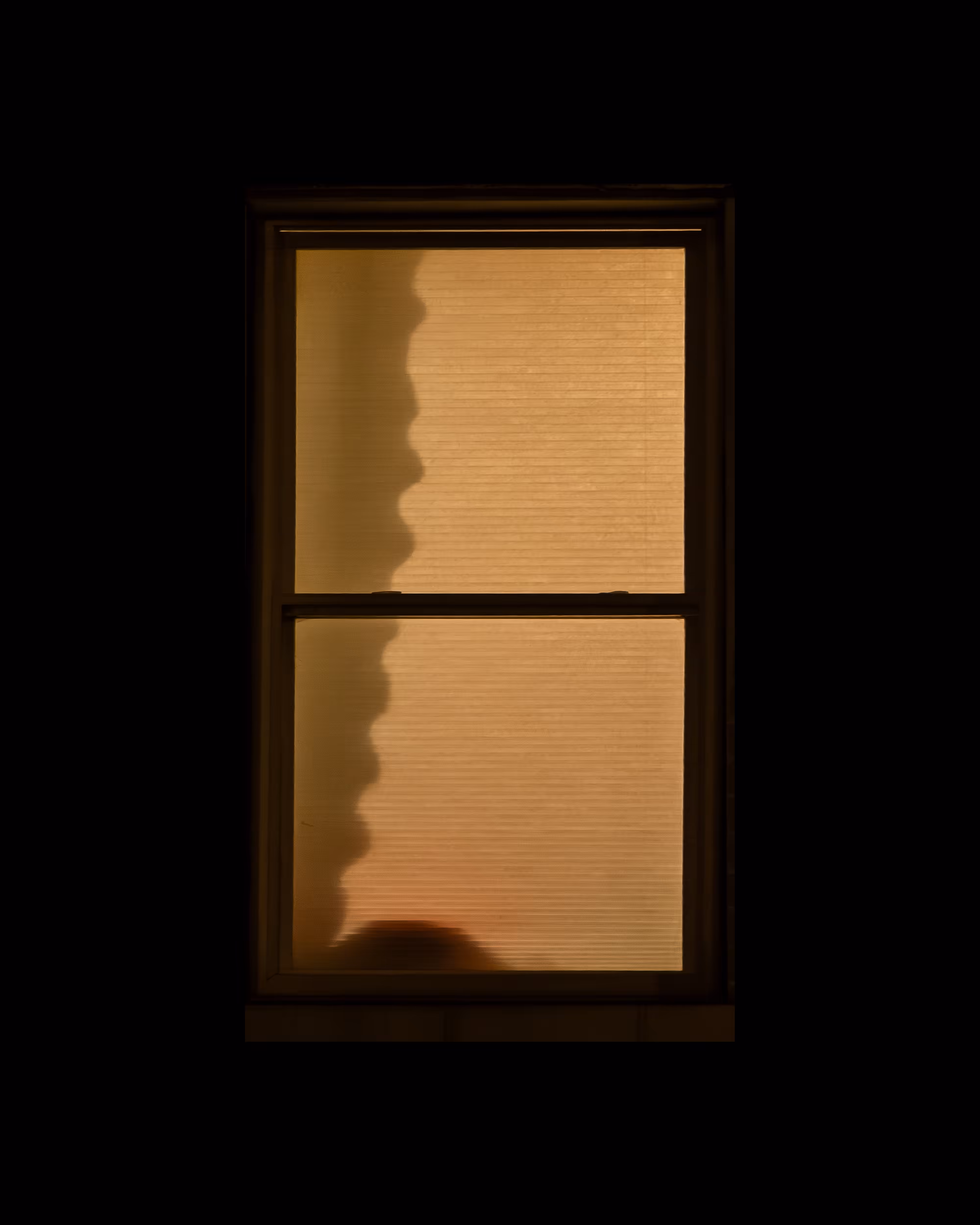WINDOWS // NYC: WINDOW 159