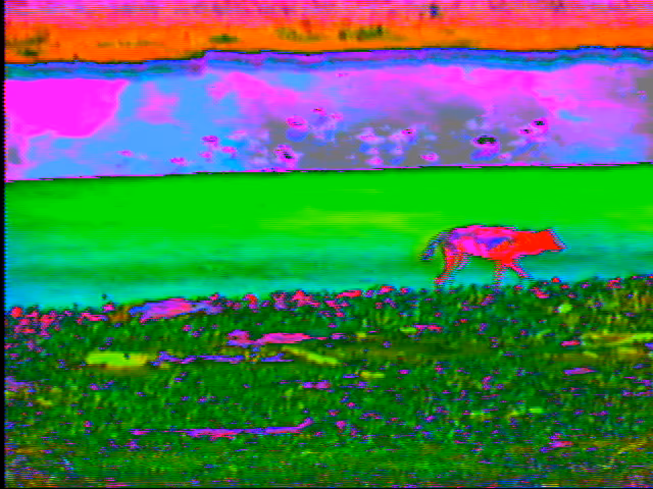 DEAD AIR 24