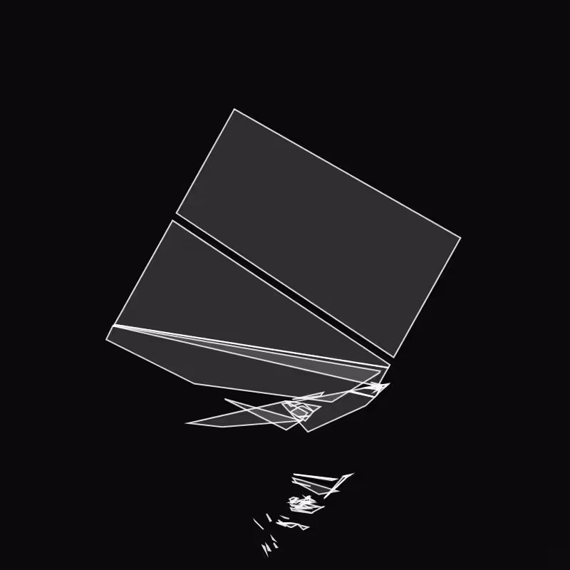 Fracture #227